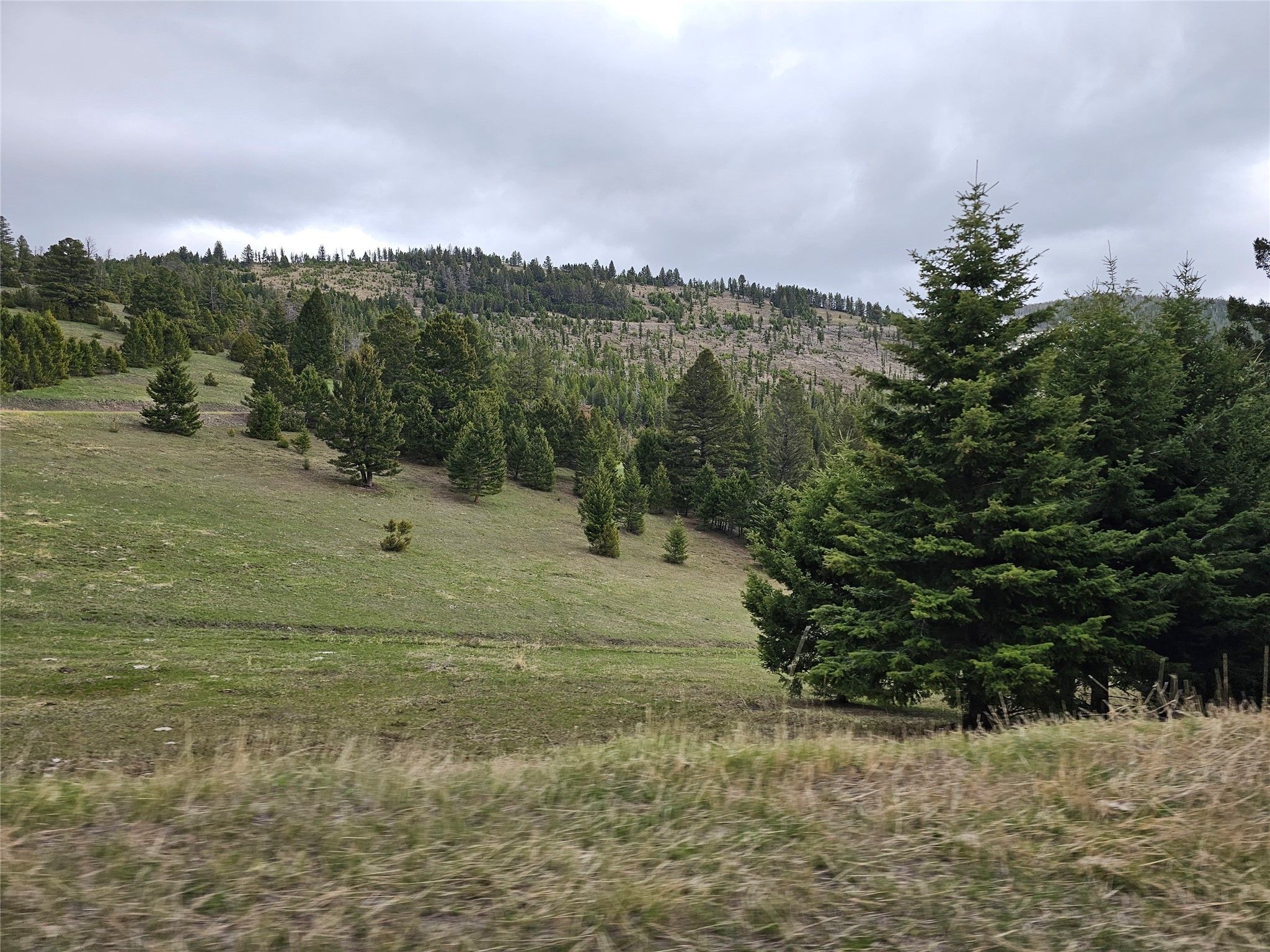 Hall, Granite County, MT Undeveloped Land for sale Property ID