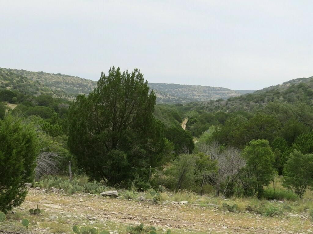 330.11 acres in Juno, TX, 78840 MLS Edwards plateau, rolling hills, exotics LandWatch