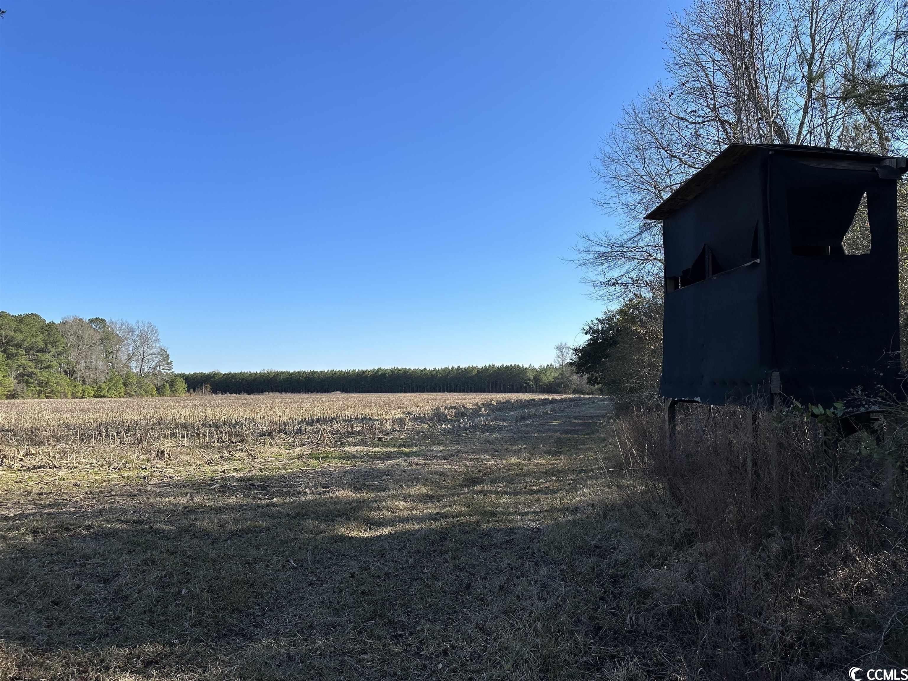 Greeleyville, Williamsburg County, SC Undeveloped Land for sale