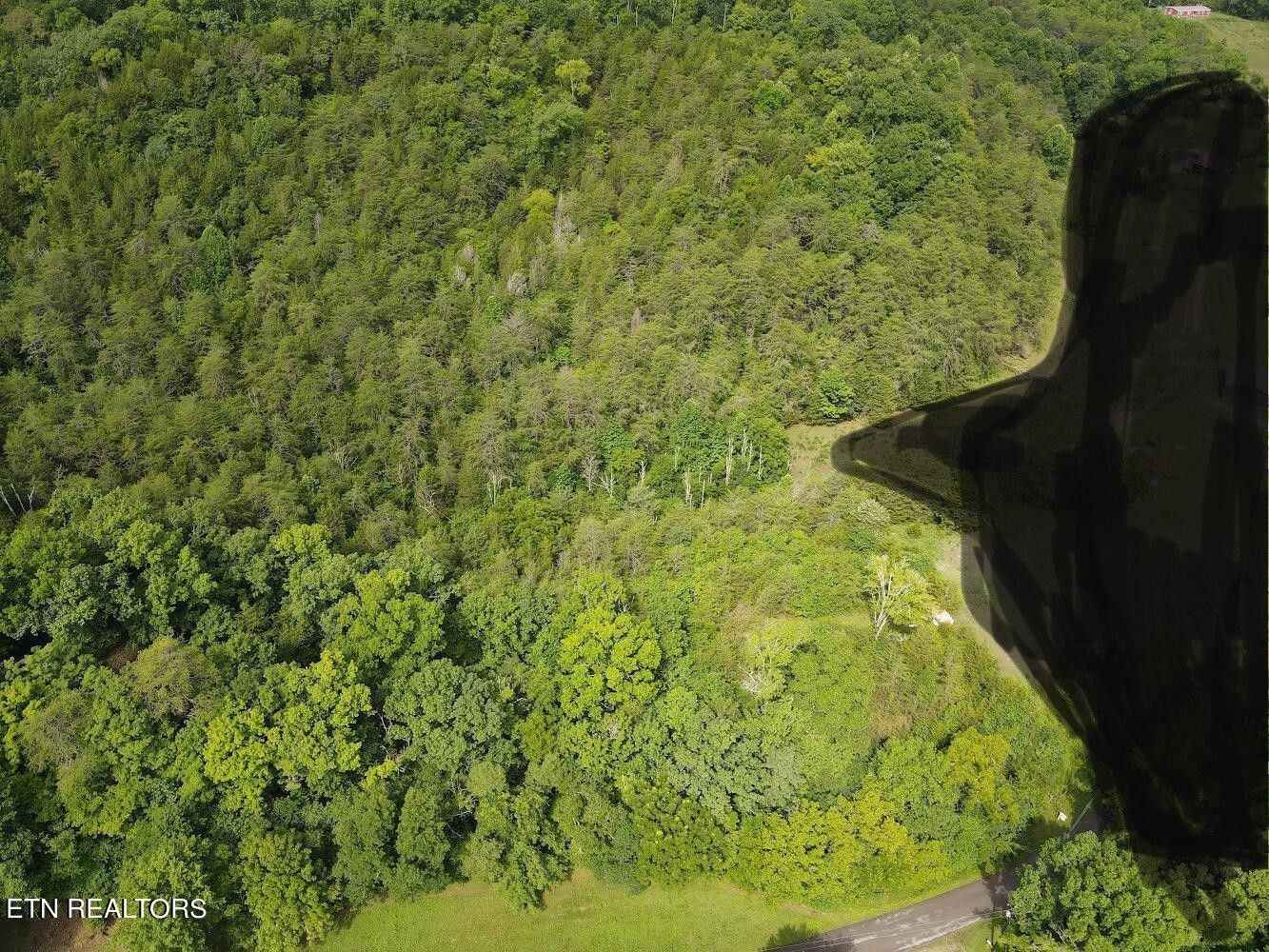 Powder Springs, Union County, TN Undeveloped Land for sale Property ID