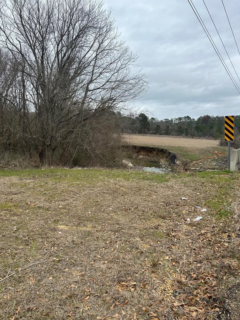 Pike County, MS Undeveloped Land for sale Property ID