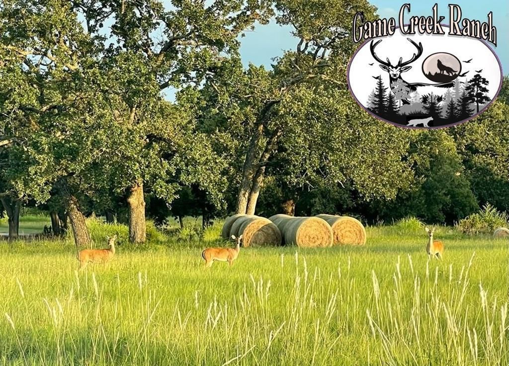 Corsicana, Navarro County, TX Farms and Ranches, Horse Property, House