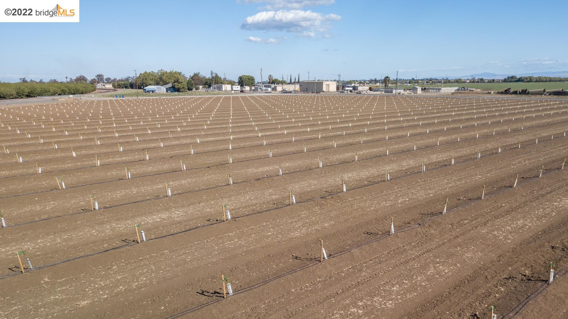 Knightsen, Contra Costa County, CA Farms and Ranches, Undeveloped Land