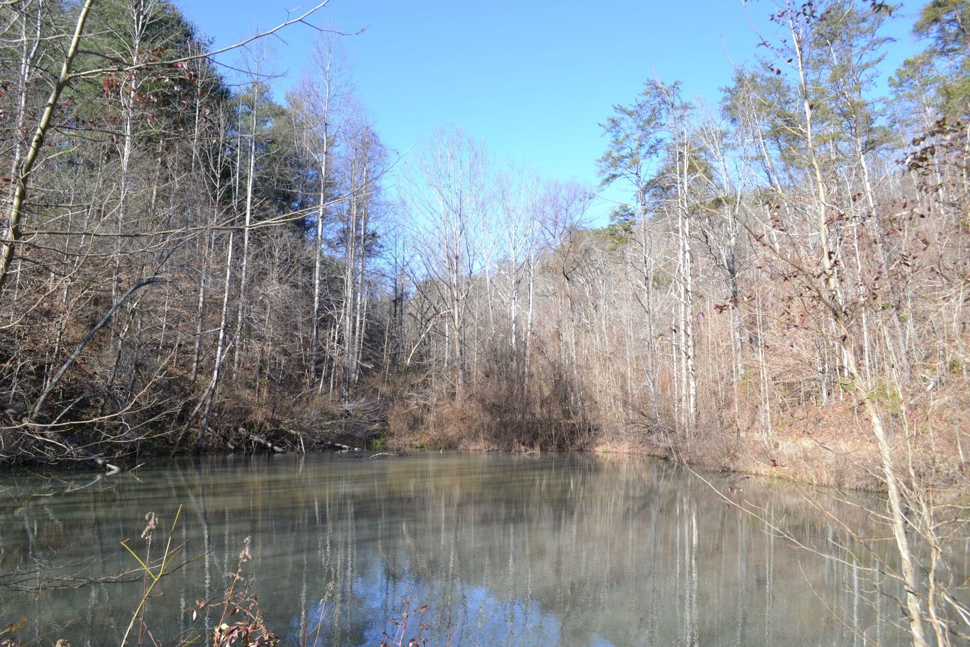 Lower Mud River Road, West Hamlin, WV 25571 MLS MUD RIVER FOREST