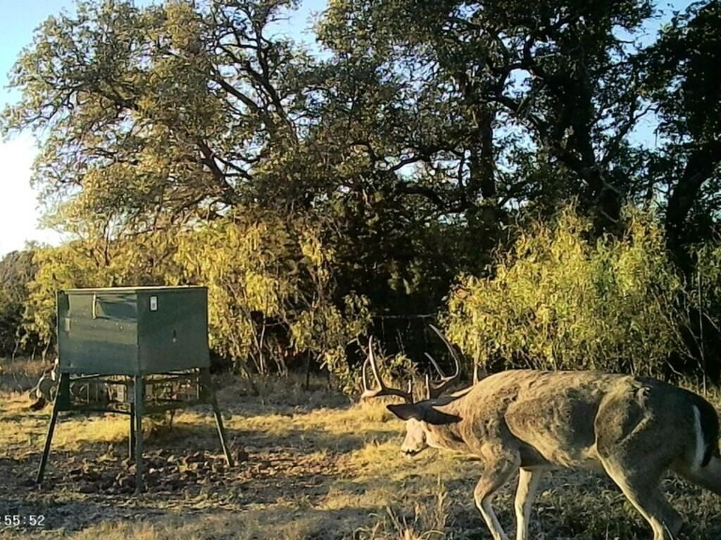 Sonora, Sutton County, TX Farms and Ranches, Recreational Property