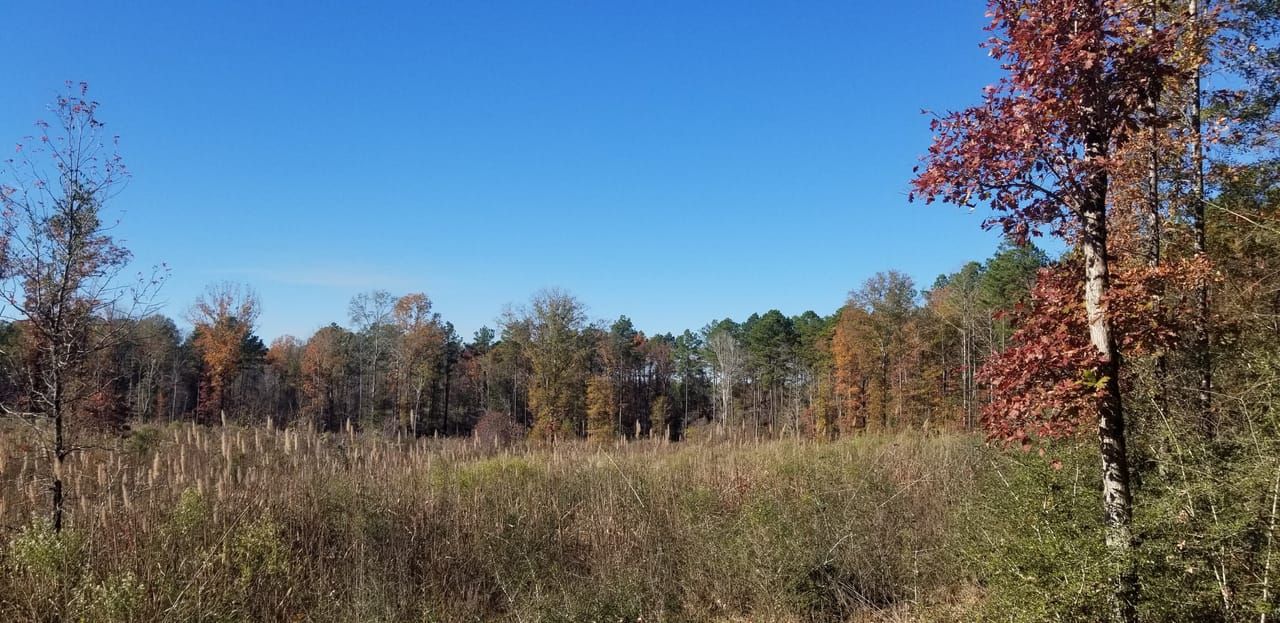 Chatham, Jackson Parish, LA Farms and Ranches, Recreational Property