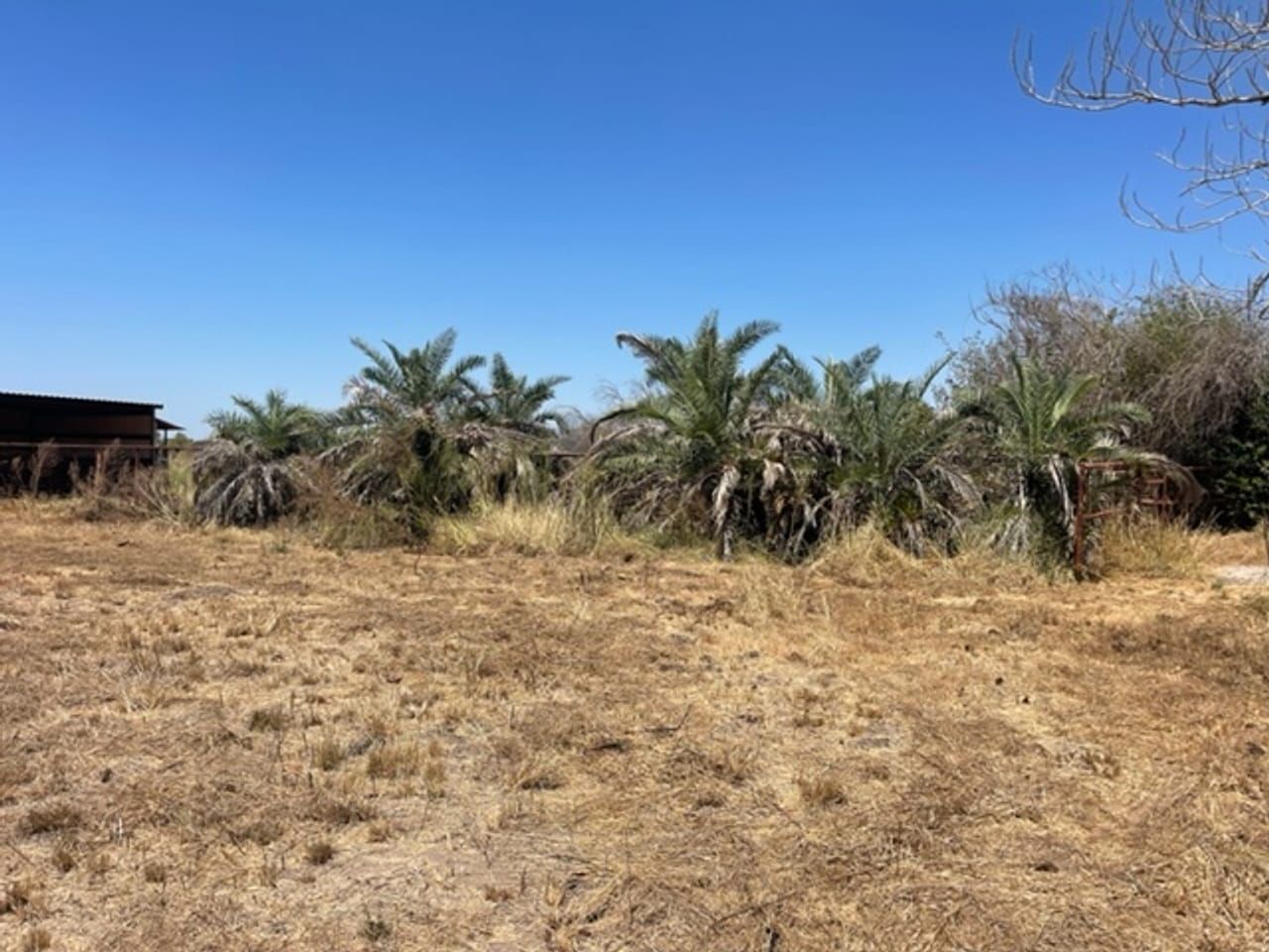 Floresville, Wilson County, TX Undeveloped Land for sale Property ID