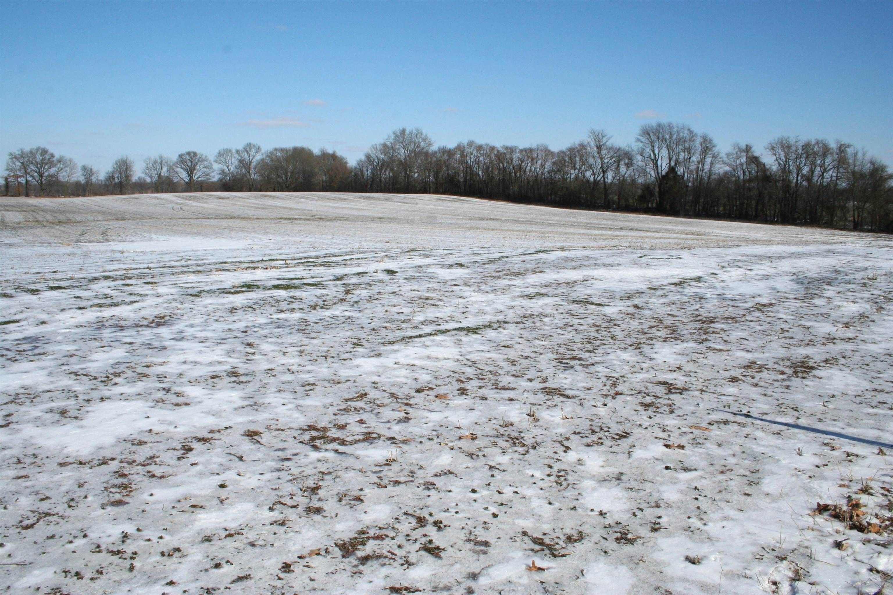 Newbern, Dyer County, TN Farms and Ranches for sale Property ID