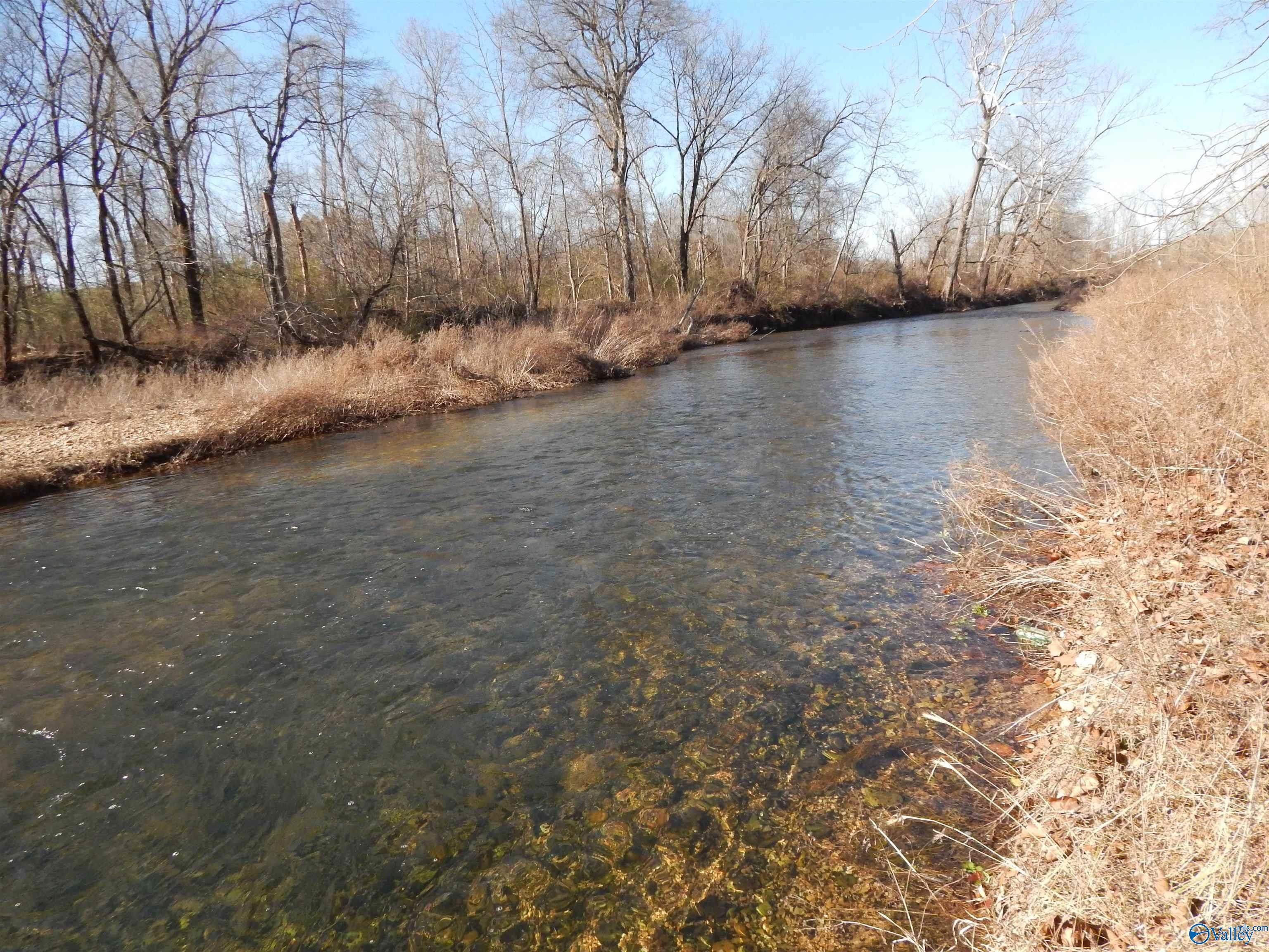 Waynesboro, Wayne County, TN Undeveloped Land, Lakefront Property