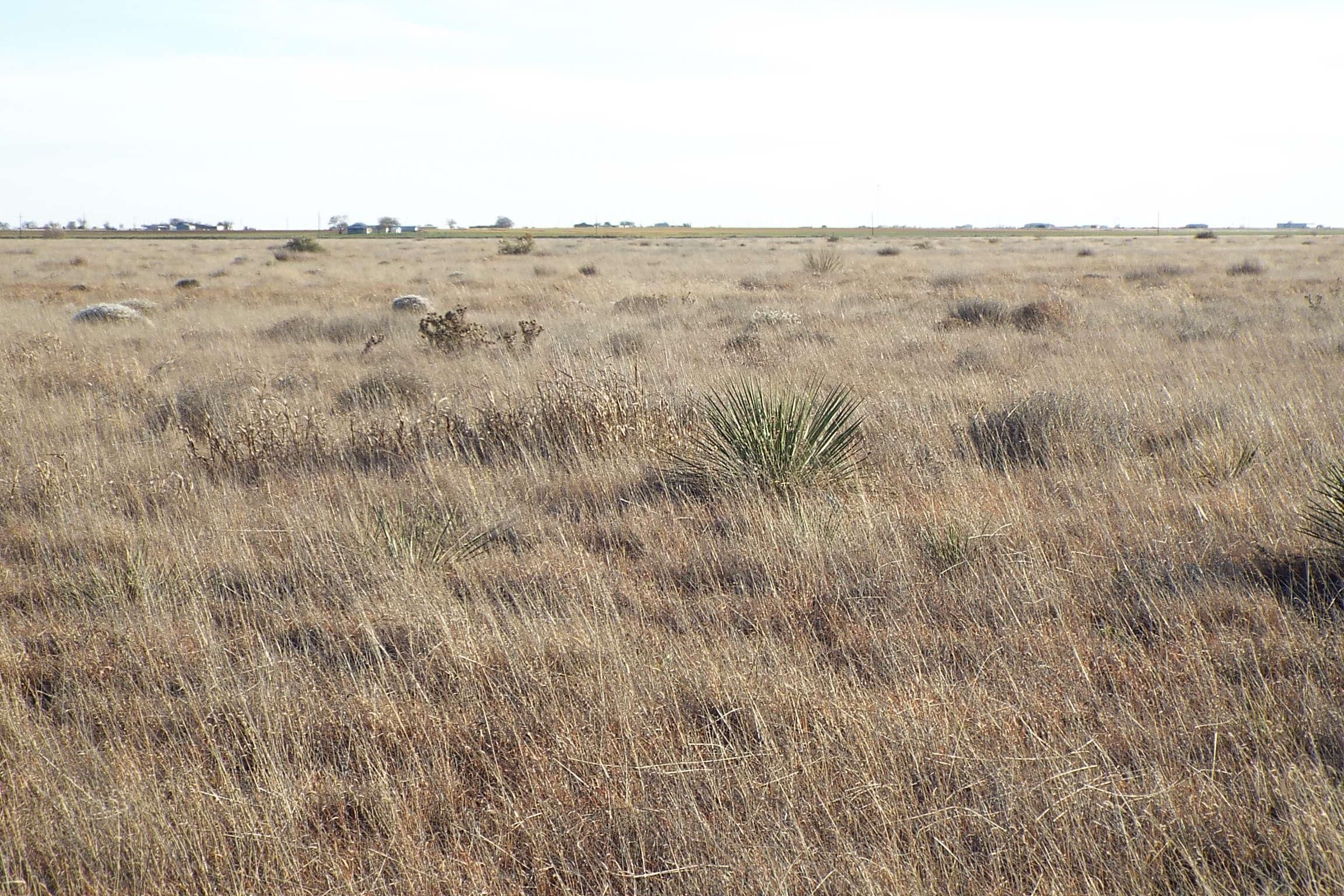 320.57 acres in Abernathy, TX, 79311 LandWatch