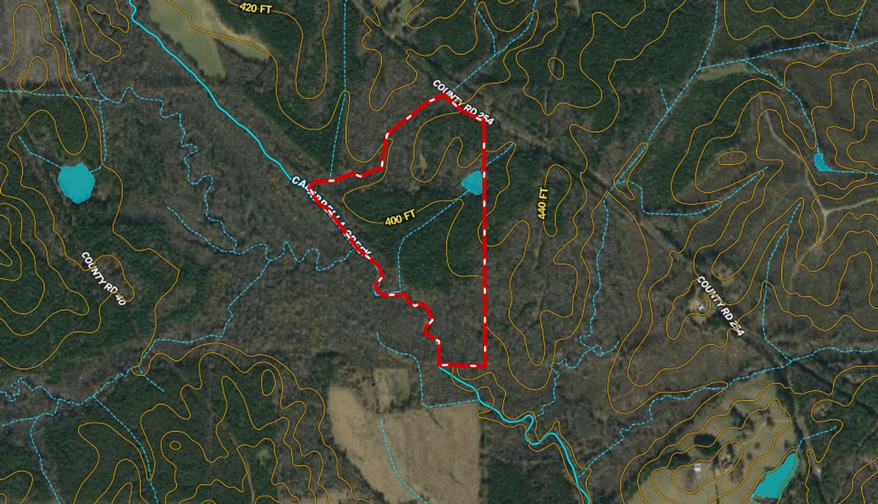 Eupora, ster County, MS Recreational Property, Timberland Property