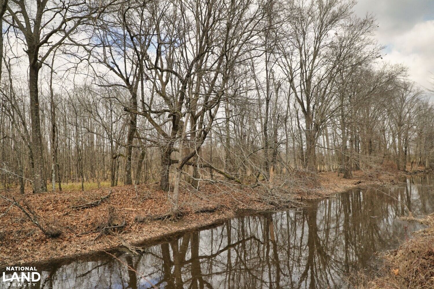 Marks, Quitman County, MS Recreational Property, Timberland Property
