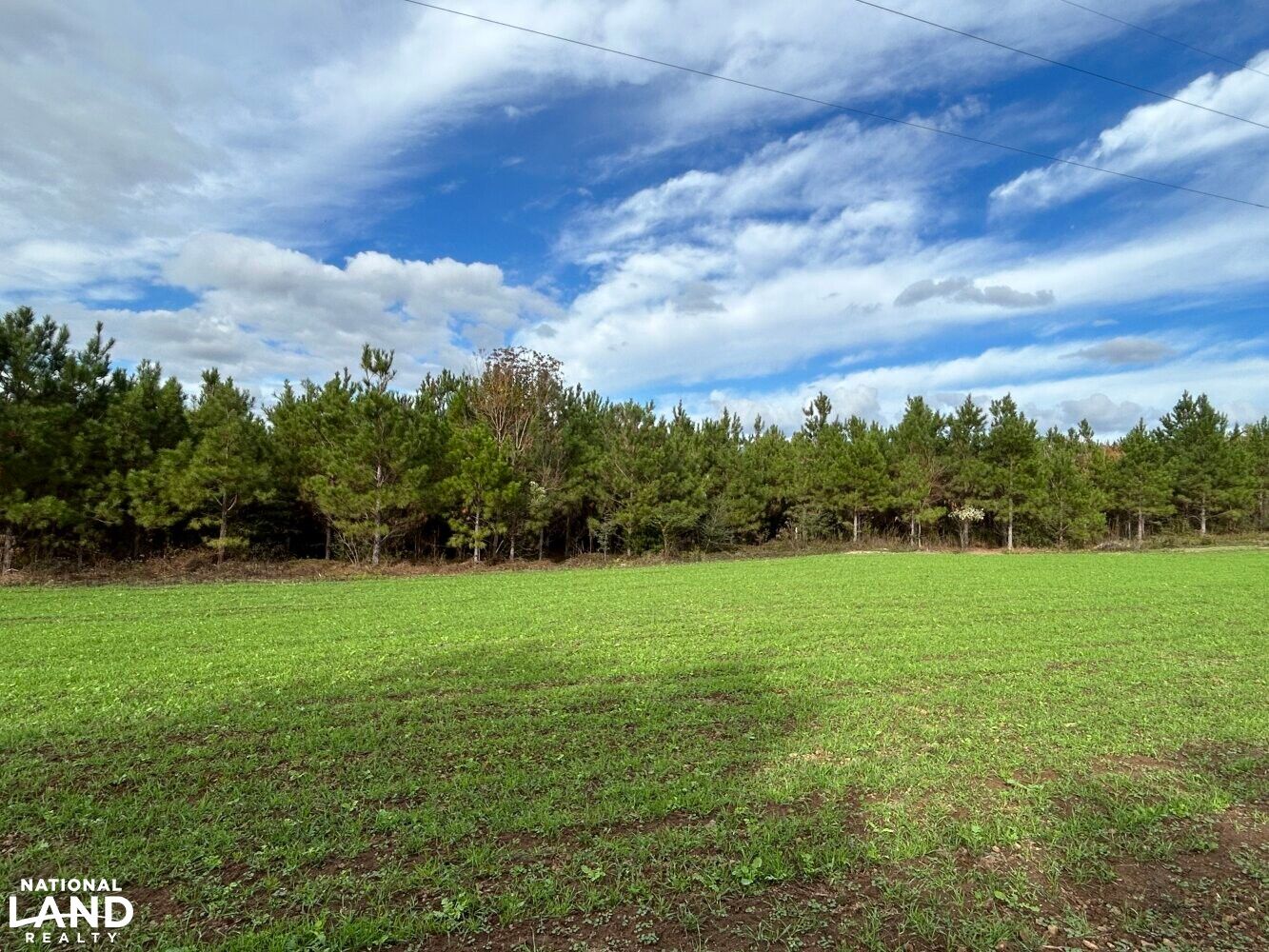 Castleberry, Conecuh County, AL Recreational Property, Timberland