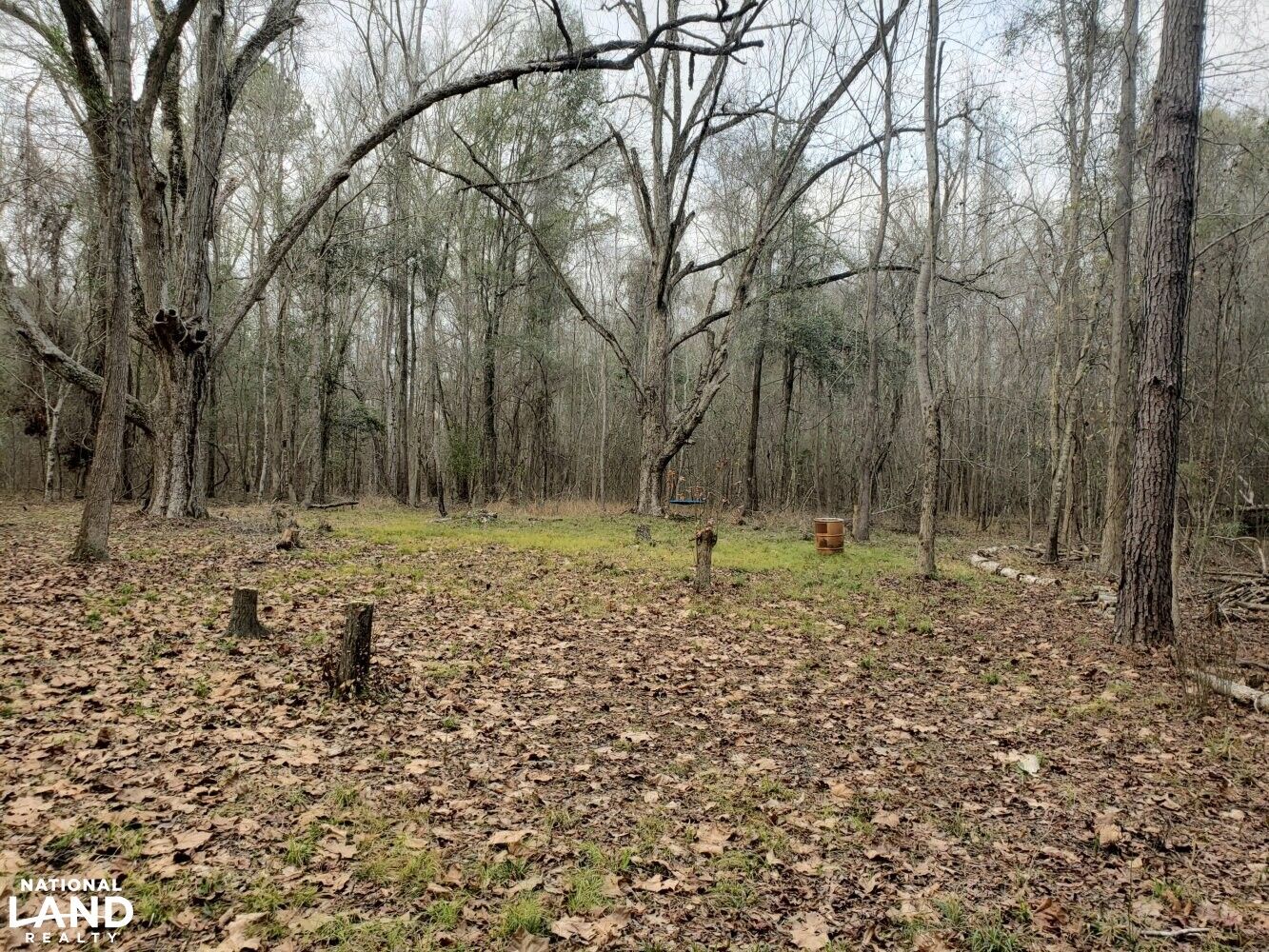 Clayton, Barbour County, AL Recreational Property, Timberland Property