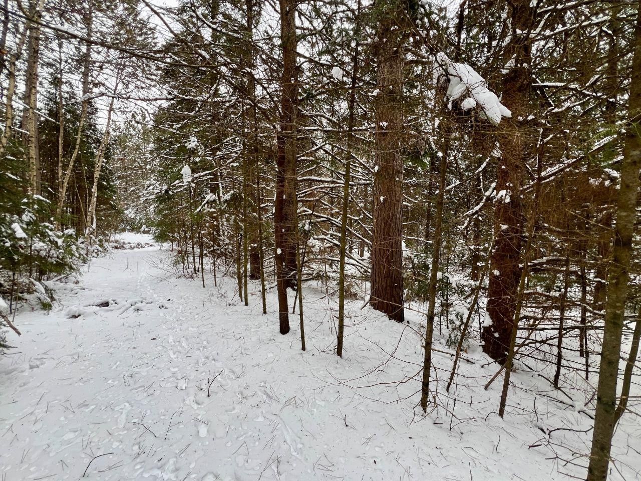 Elcho, Langlade County, WI Undeveloped Land for sale Property ID