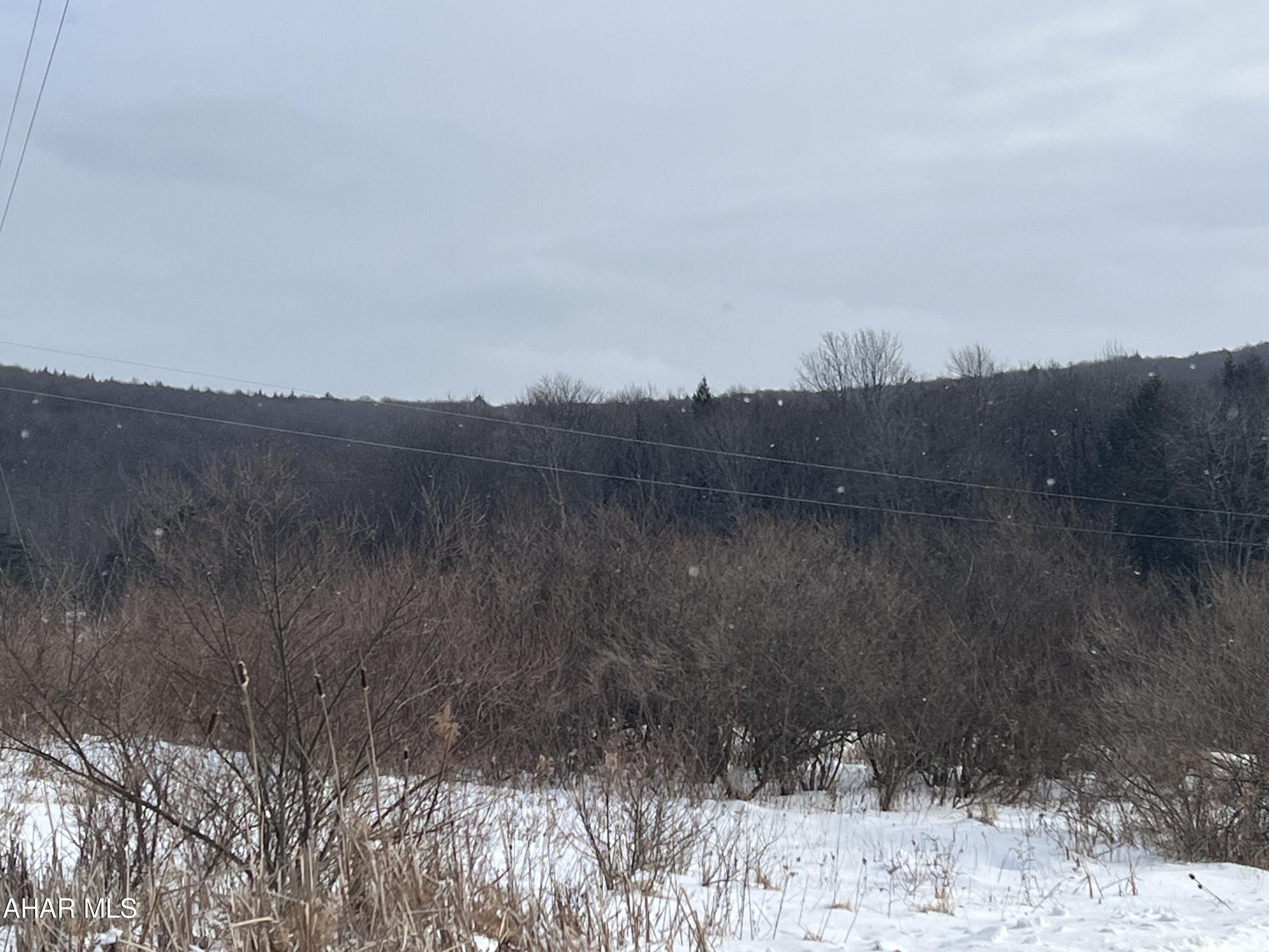 Ebensburg, Cambria County, PA Undeveloped Land for sale Property ID