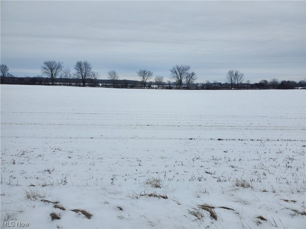 Wellington, Lorain County, OH Undeveloped Land for sale Property ID