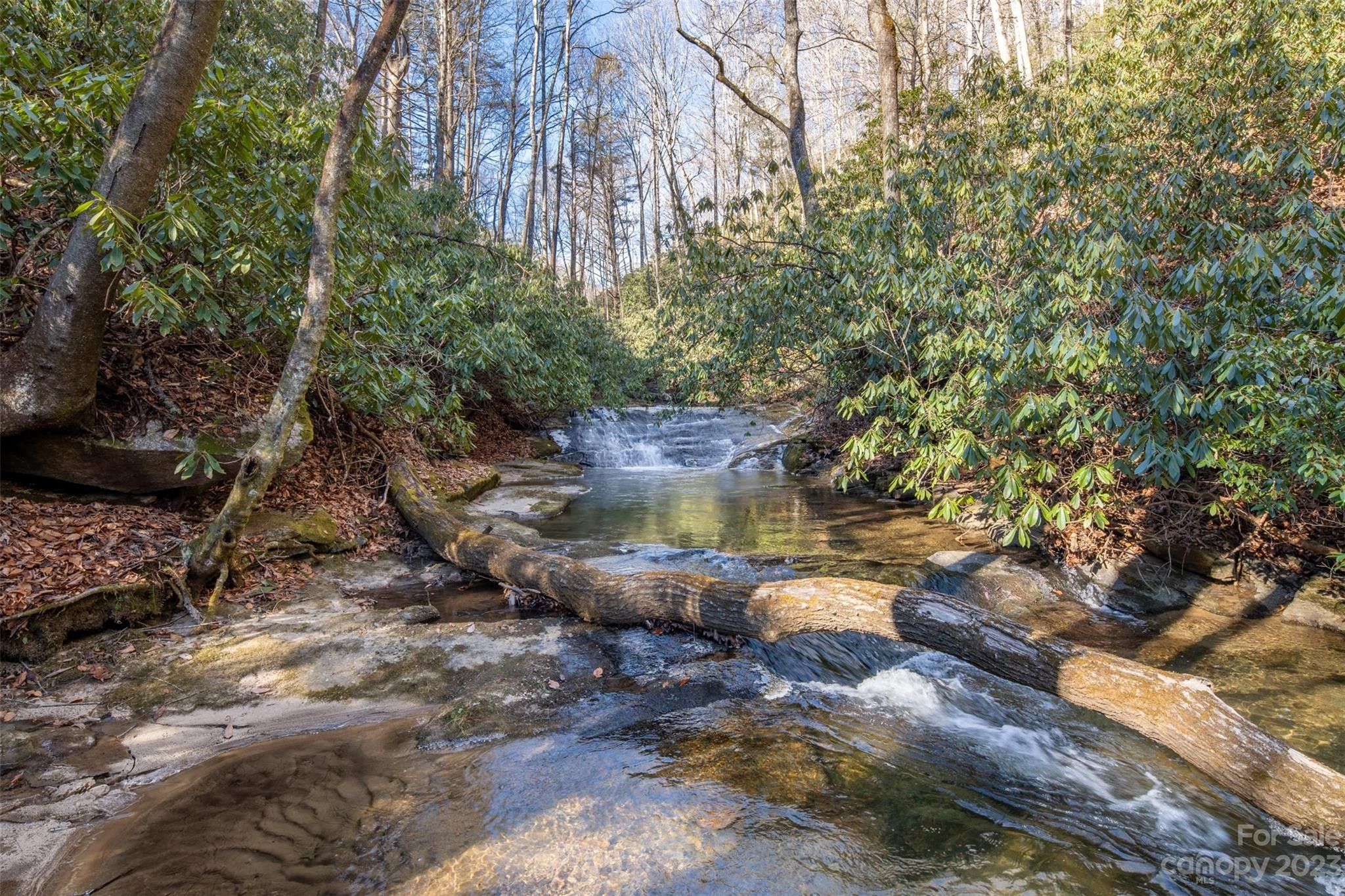 Black Mountain, County, NC Undeveloped Land for sale Property ID 418726925 LandWatch