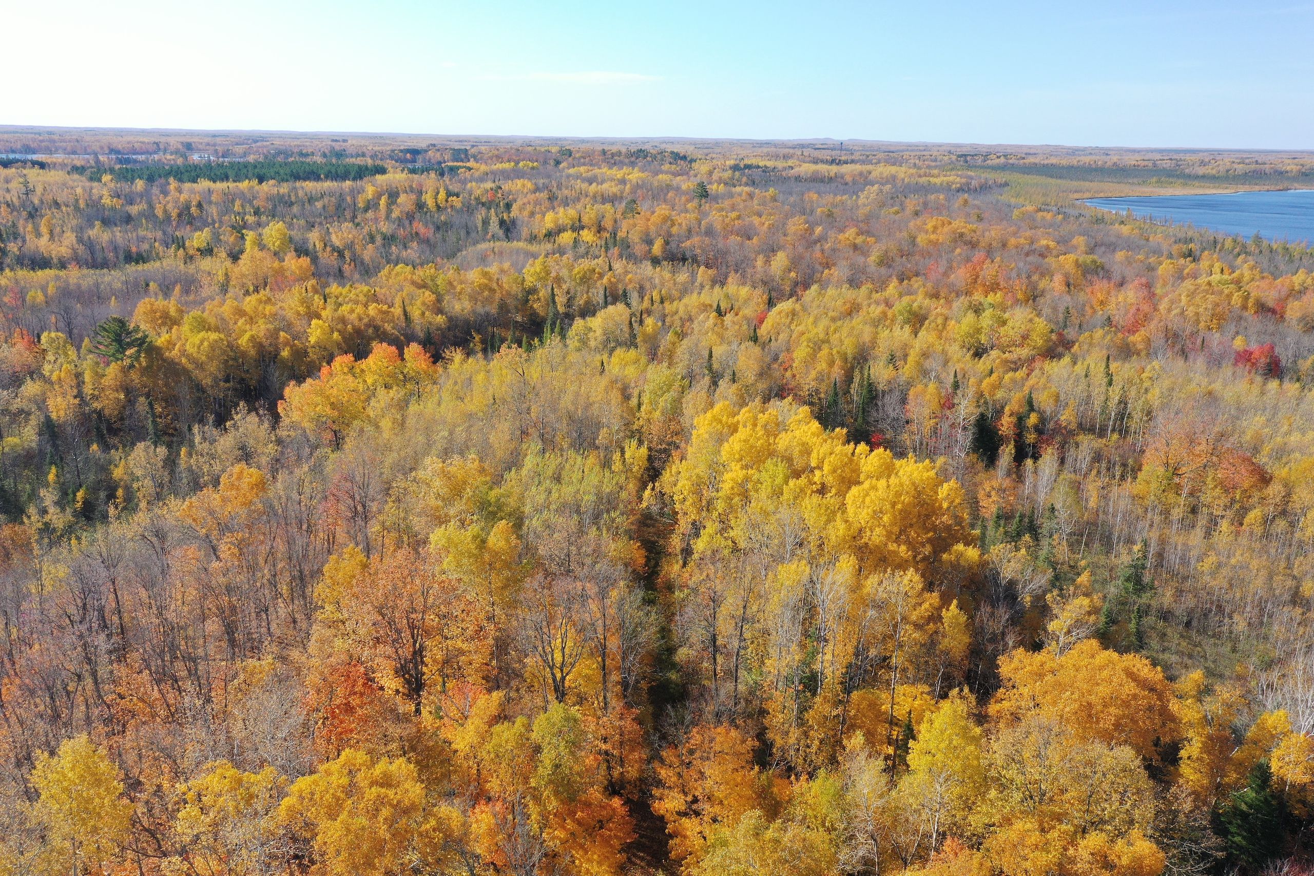 TBD Shipley Road, LotWP001, Saginaw, MN 55779 MLS 6479651 LandWatch