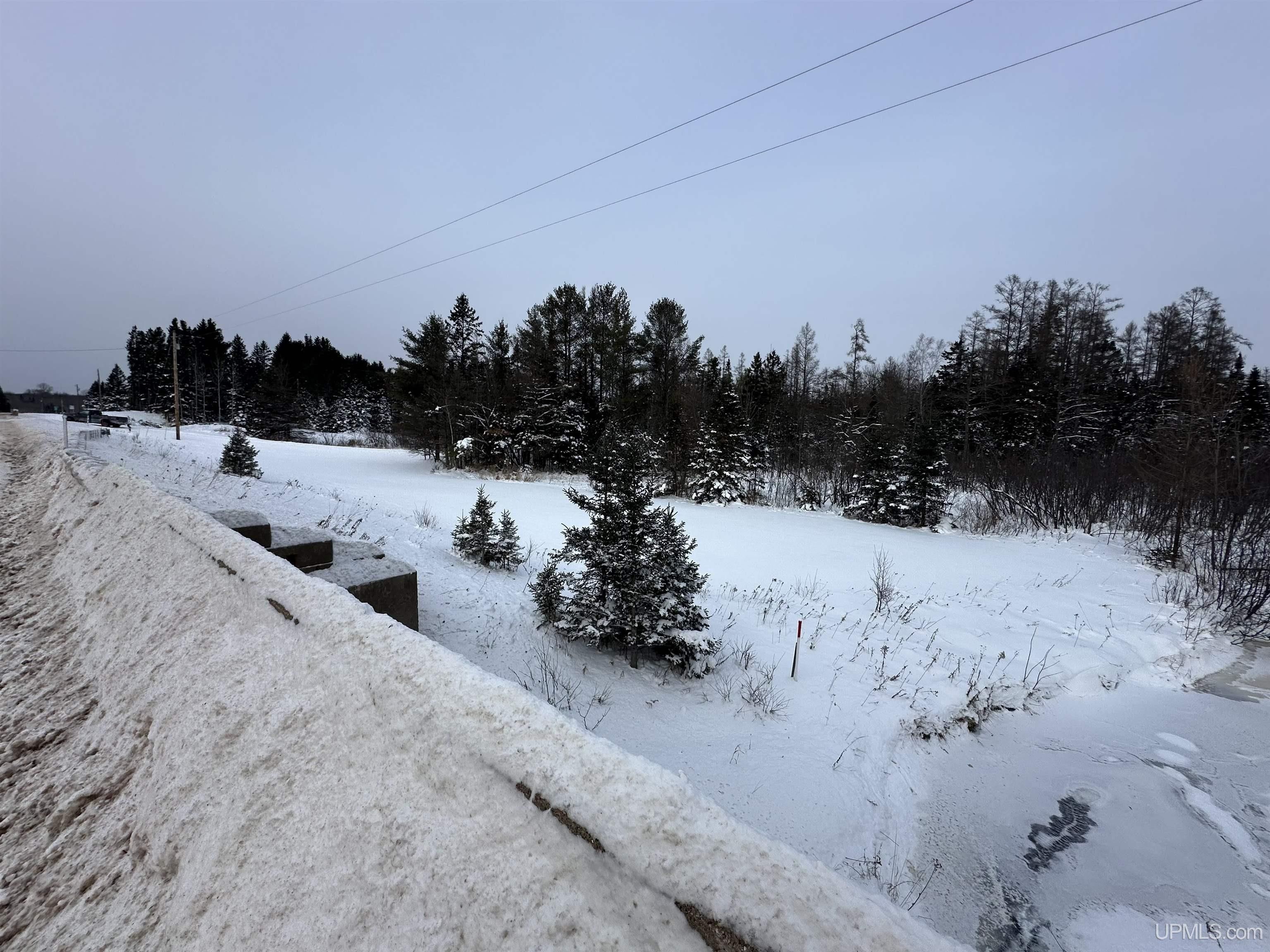 Traunik, Alger County, MI Undeveloped Land, Lakefront Property