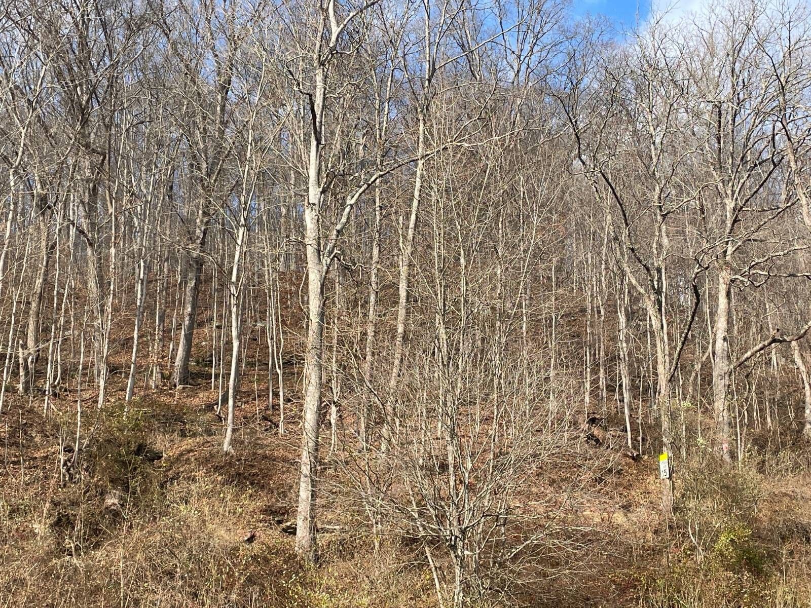 Charleston, Kanawha County, WV Undeveloped Land for sale Property ID