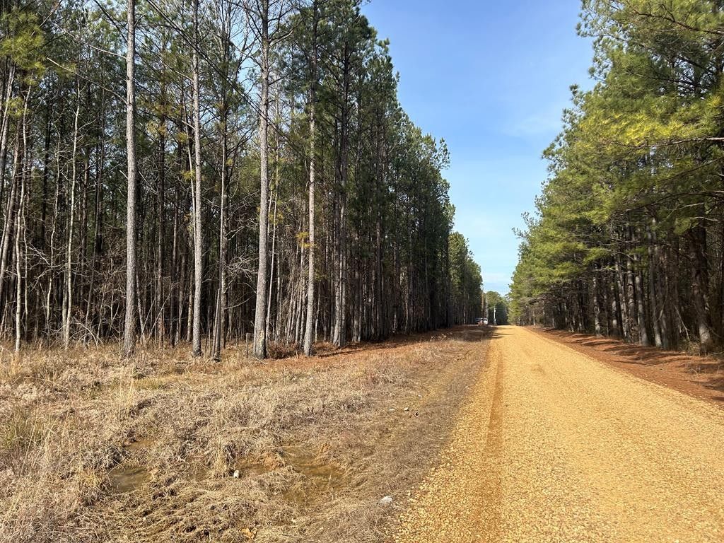 Starkville, Oktibbeha County, MS Undeveloped Land for sale Property ID