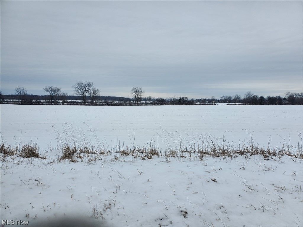 Wellington, Lorain County, OH Undeveloped Land for sale Property ID