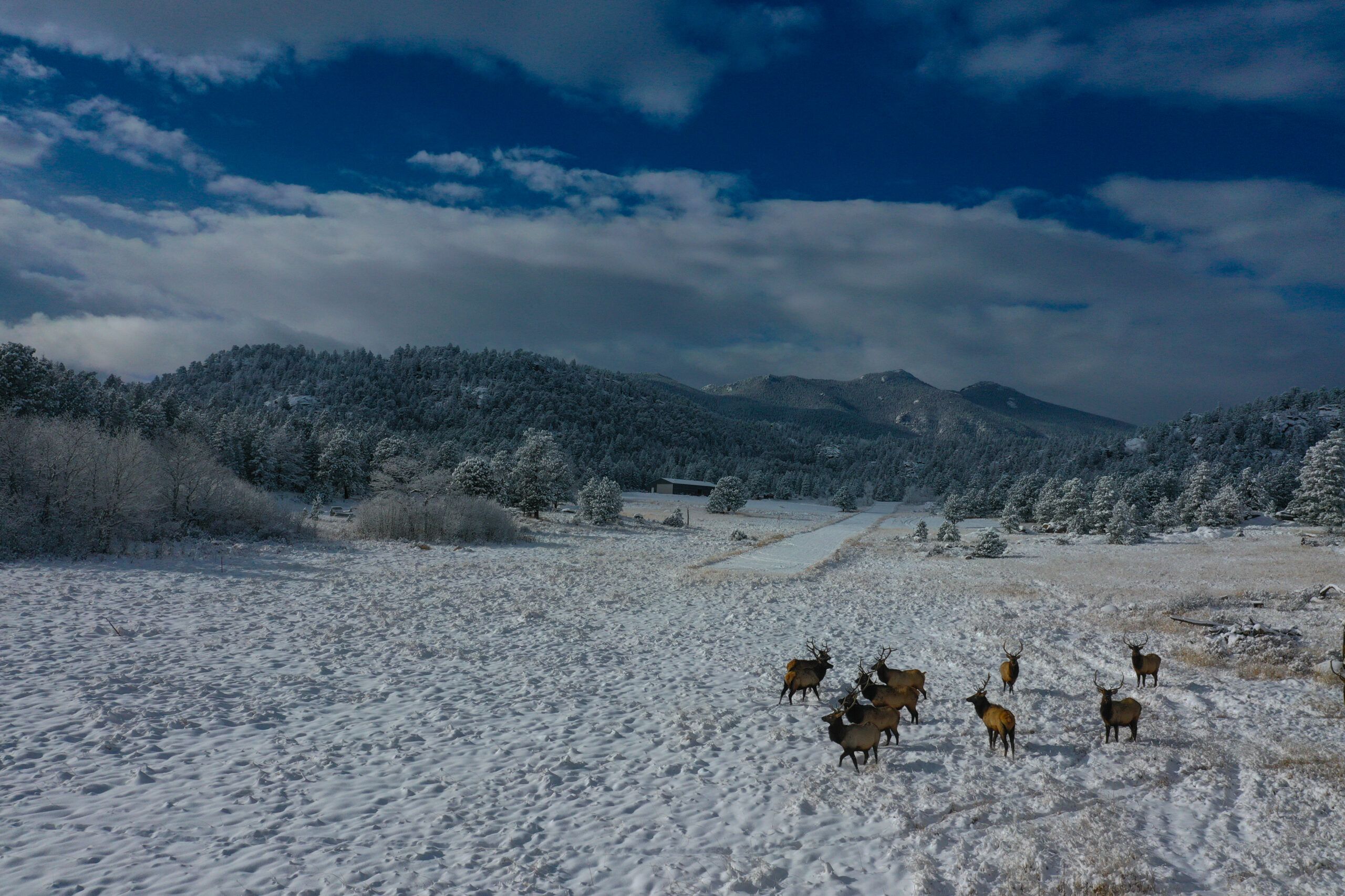 Allenspark, Larimer County, CO Farms and Ranches, Recreational Property