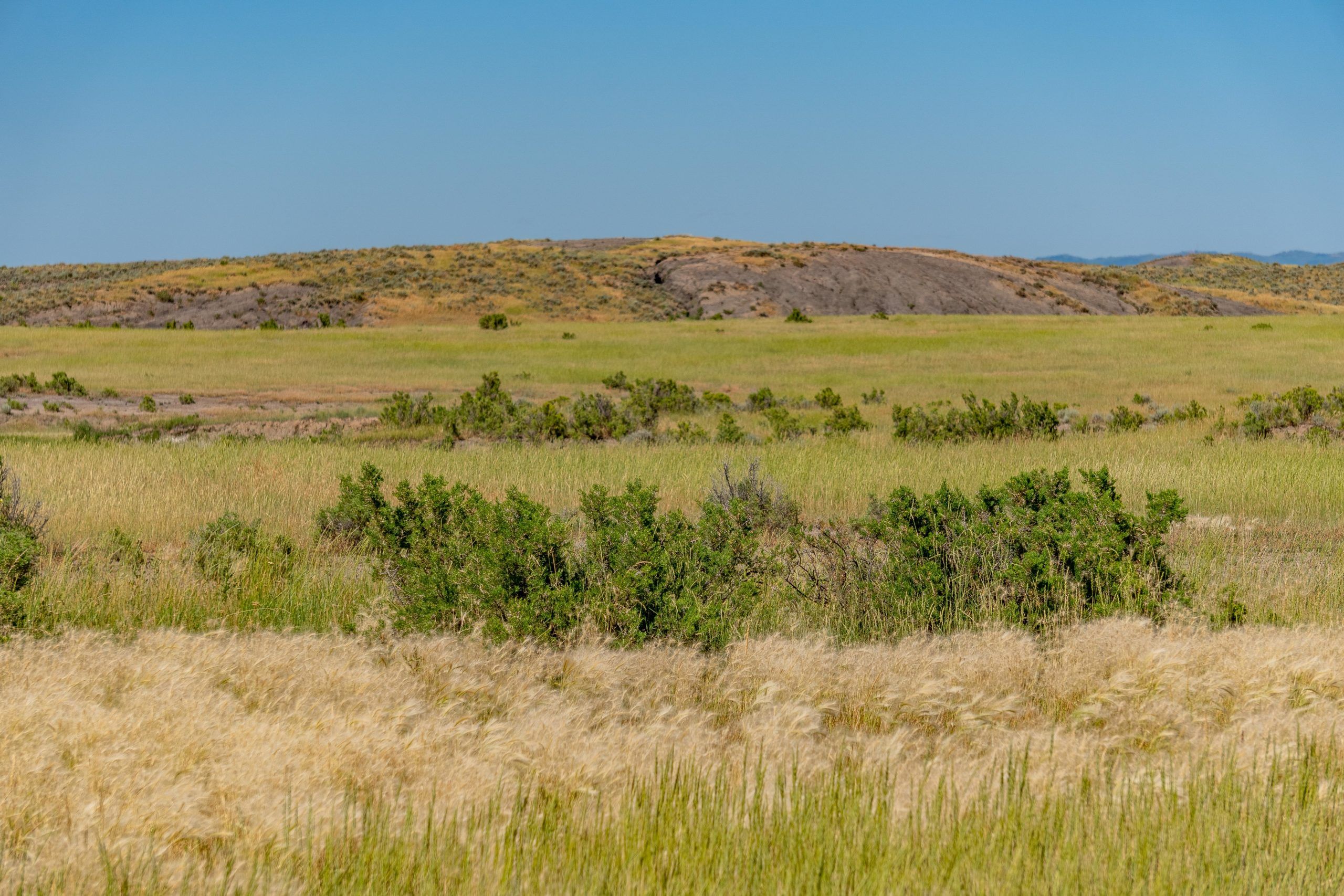 TDB Wagner Road, Moorcroft, WY 82721 LandWatch