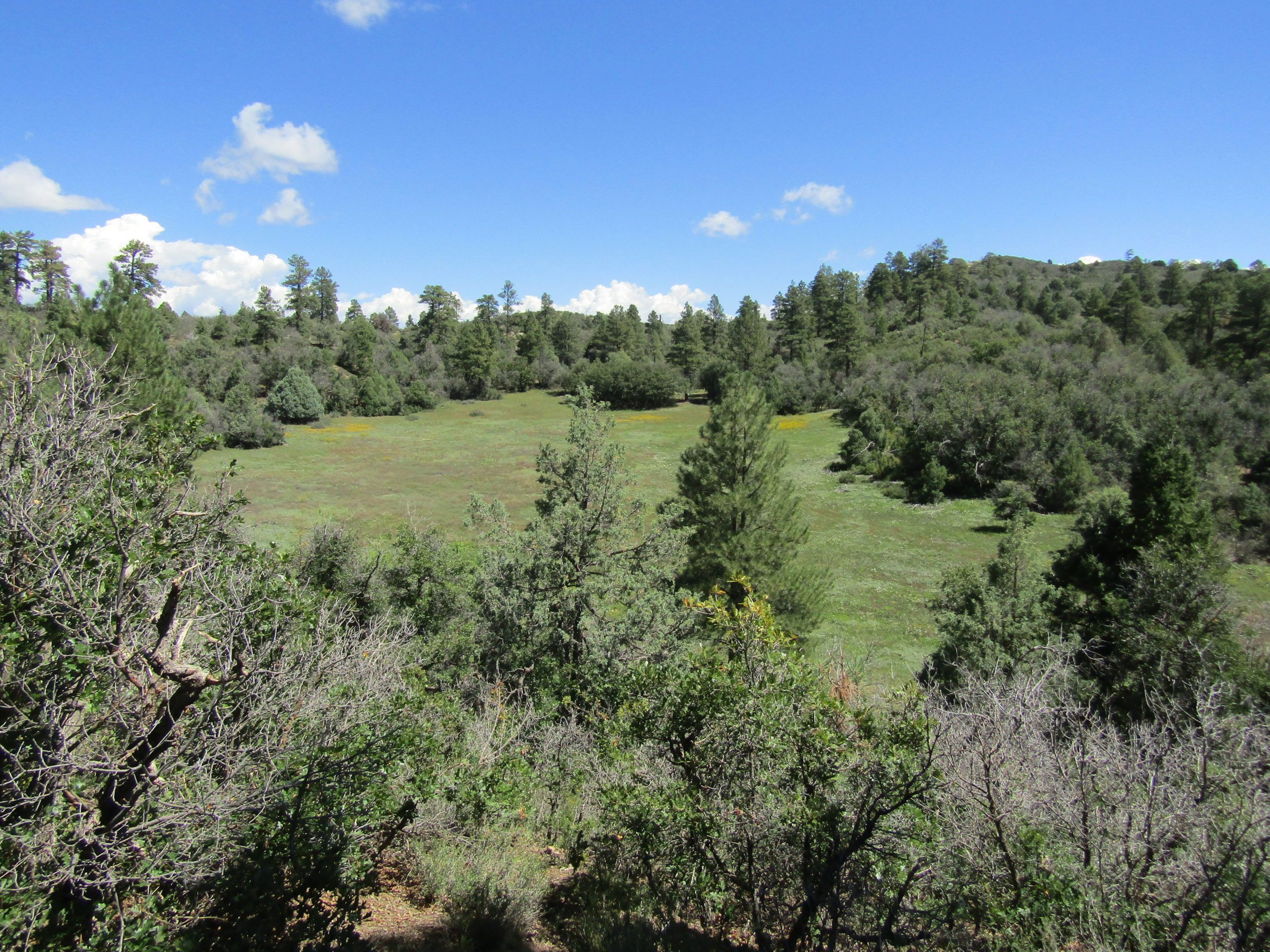 TDB CR 500, Pagosa Springs, CO 81147 LandWatch