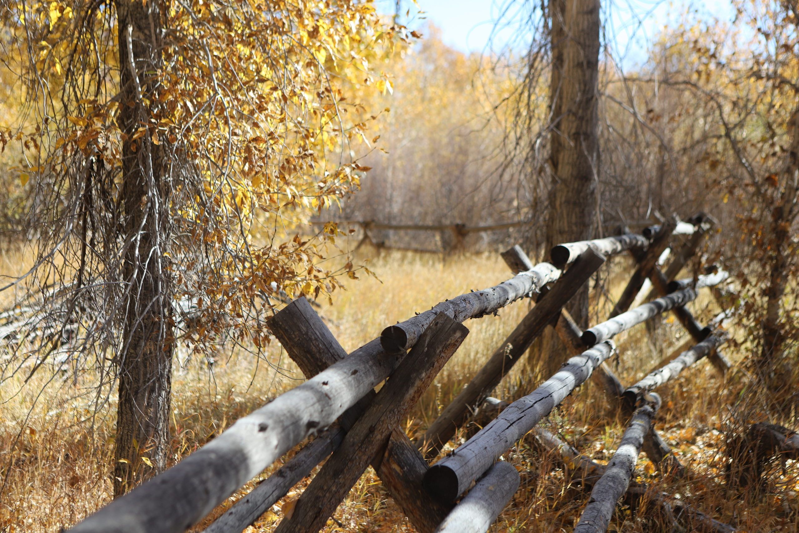 Challis, Custer County, ID Recreational Property, Riverfront Property