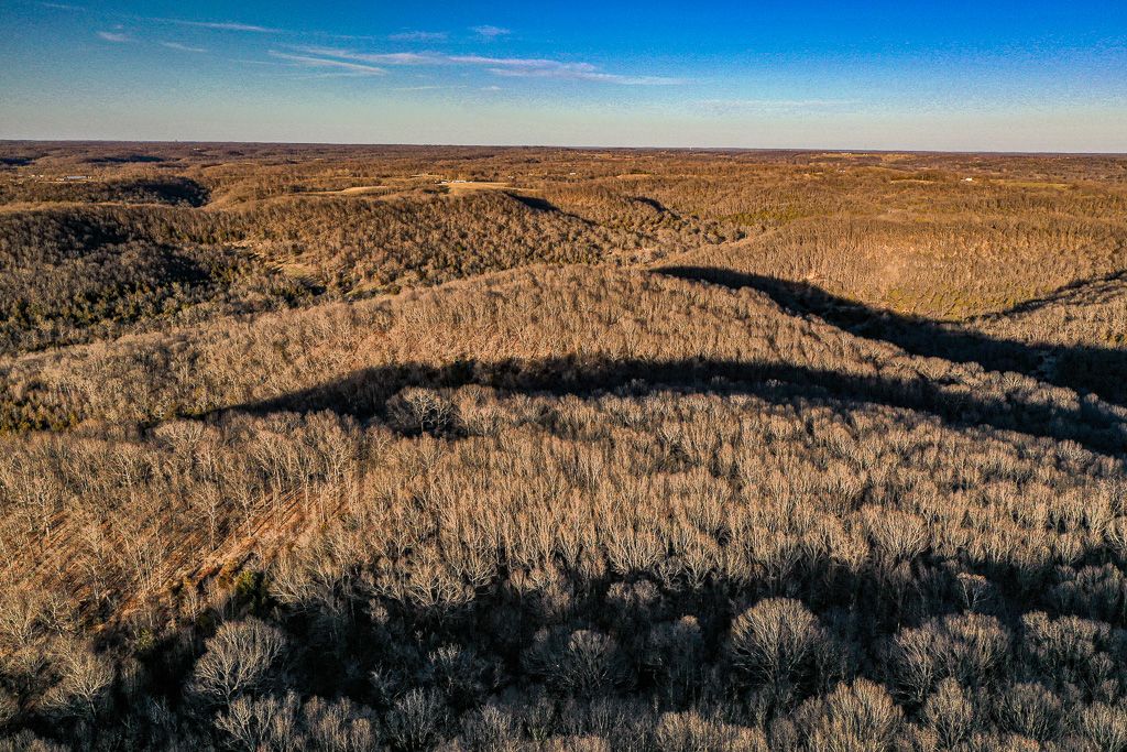 Washburn, Barry County, MO Timberland Property, Undeveloped Land
