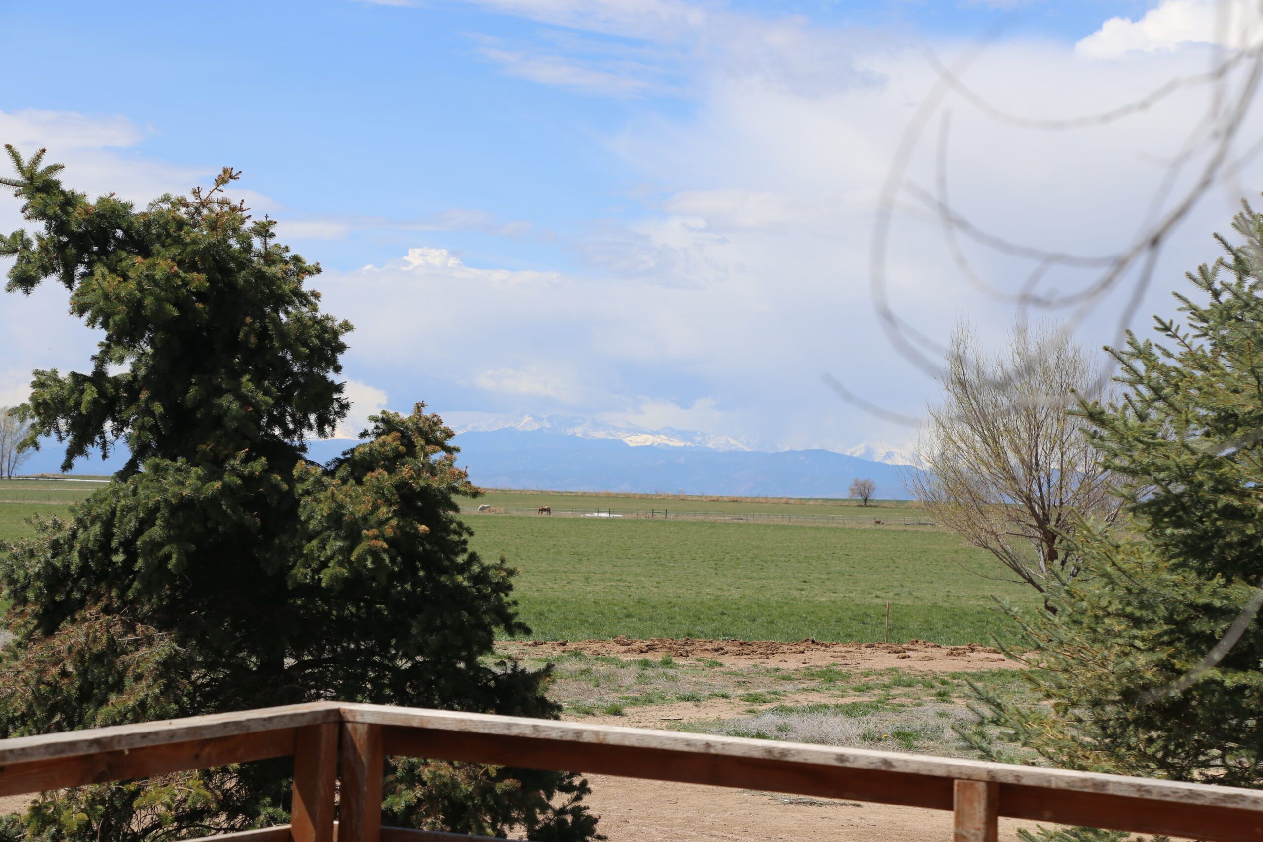 Fort Collins, Weld County, CO Farms and Ranches, Horse Property