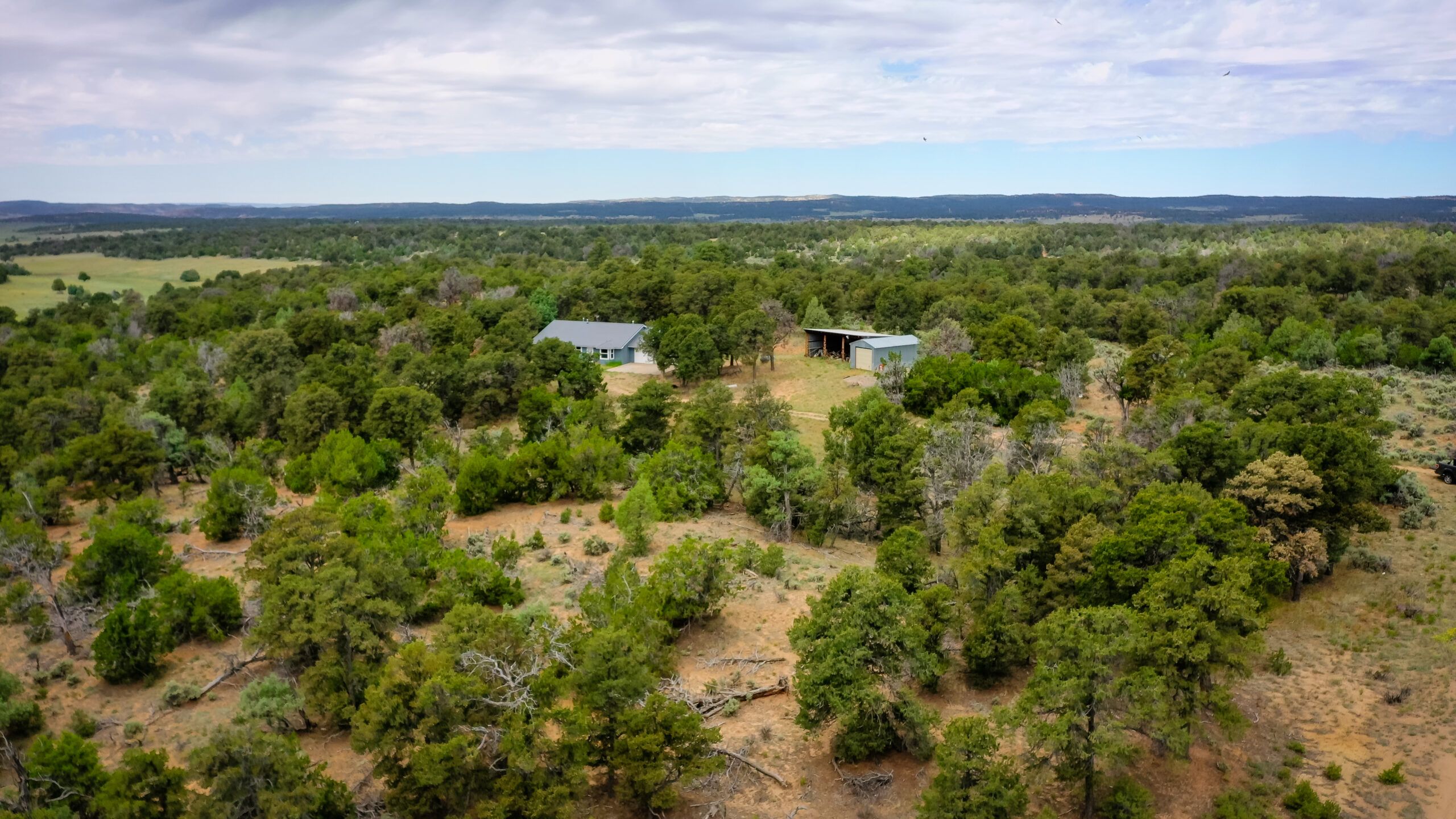 1475 HWY 595, Lindrith, NM 87029 LandWatch