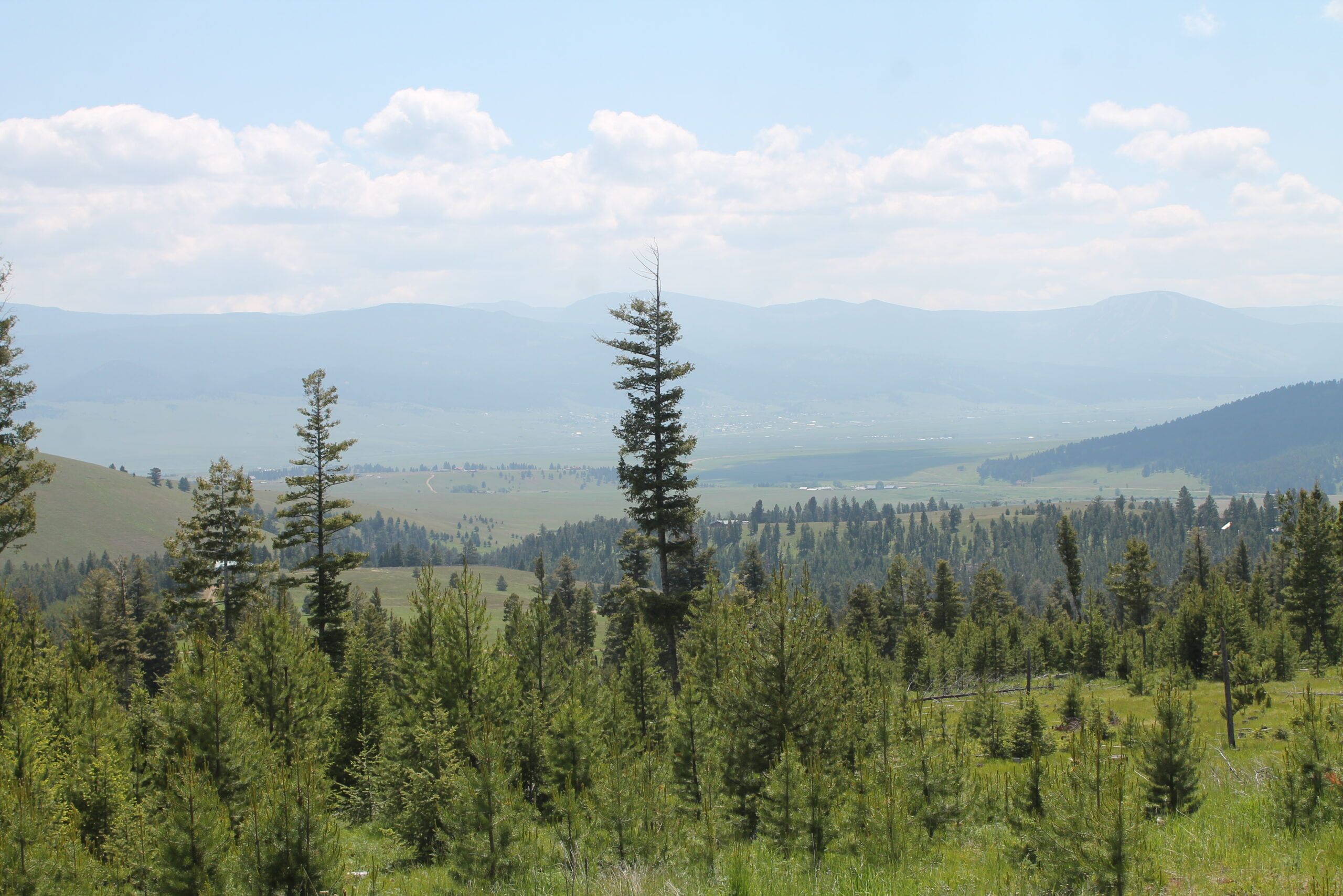 24 Moose Springs Trail 15A, Philipsburg, MT 59858 LandWatch