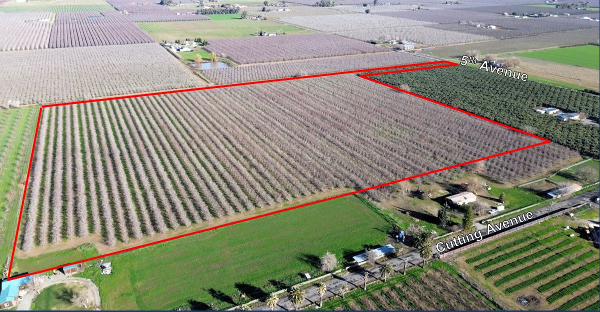 9th Leaf Almonds CAPAY, Orland, CA 95963 LandWatch