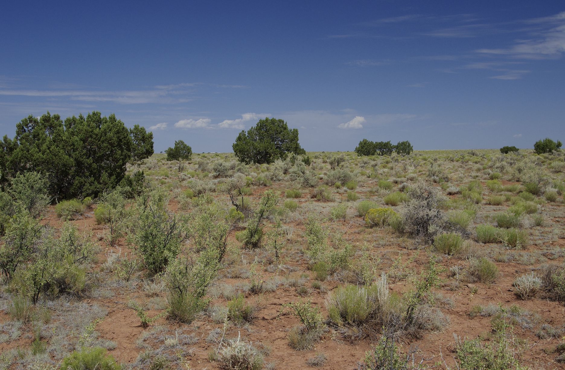 Williams, Coconino County, AZ Recreational Property, Undeveloped Land