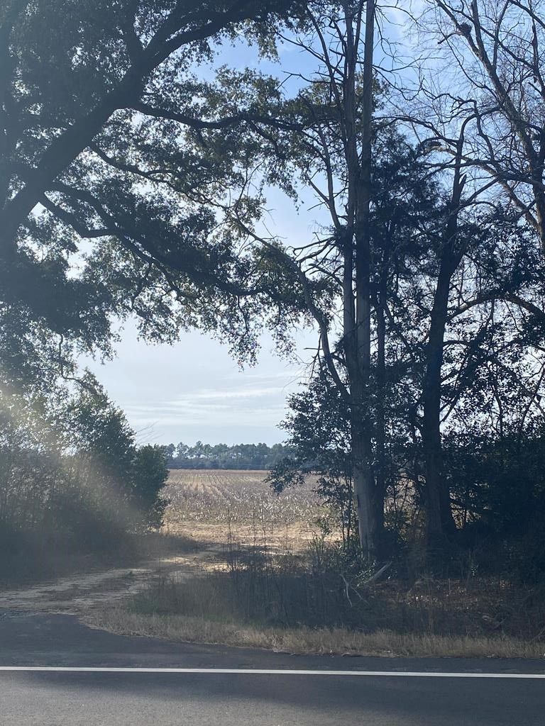 Newton, Baker County, GA Farms and Ranches for sale Property ID