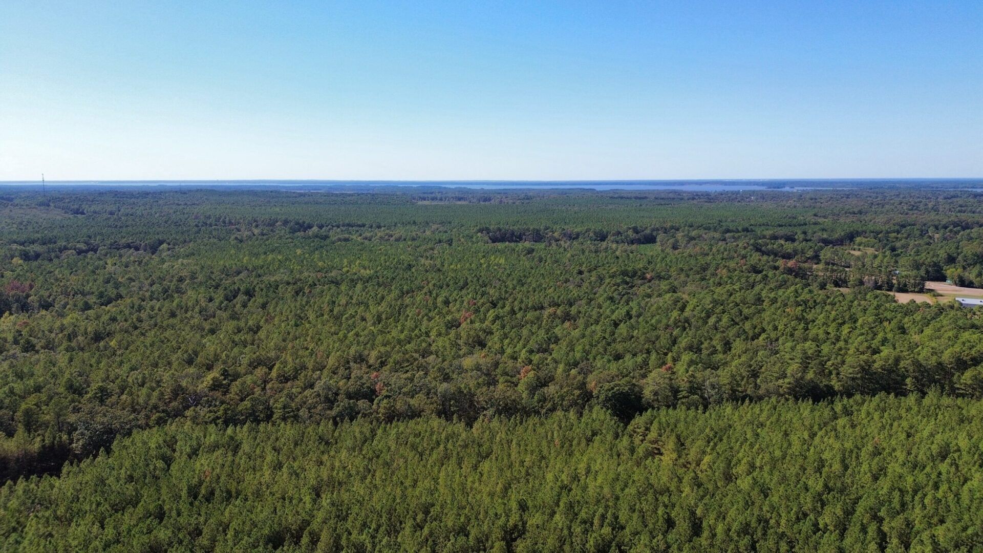 50 Acres, Rankin County, MS, Pisgah, MS 39047 LandWatch