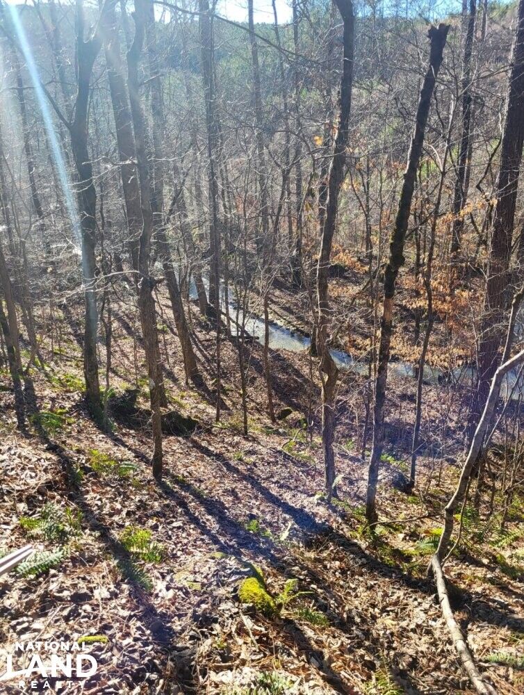 Winfield, Marion County, AL Recreational Property, Hunting Property for