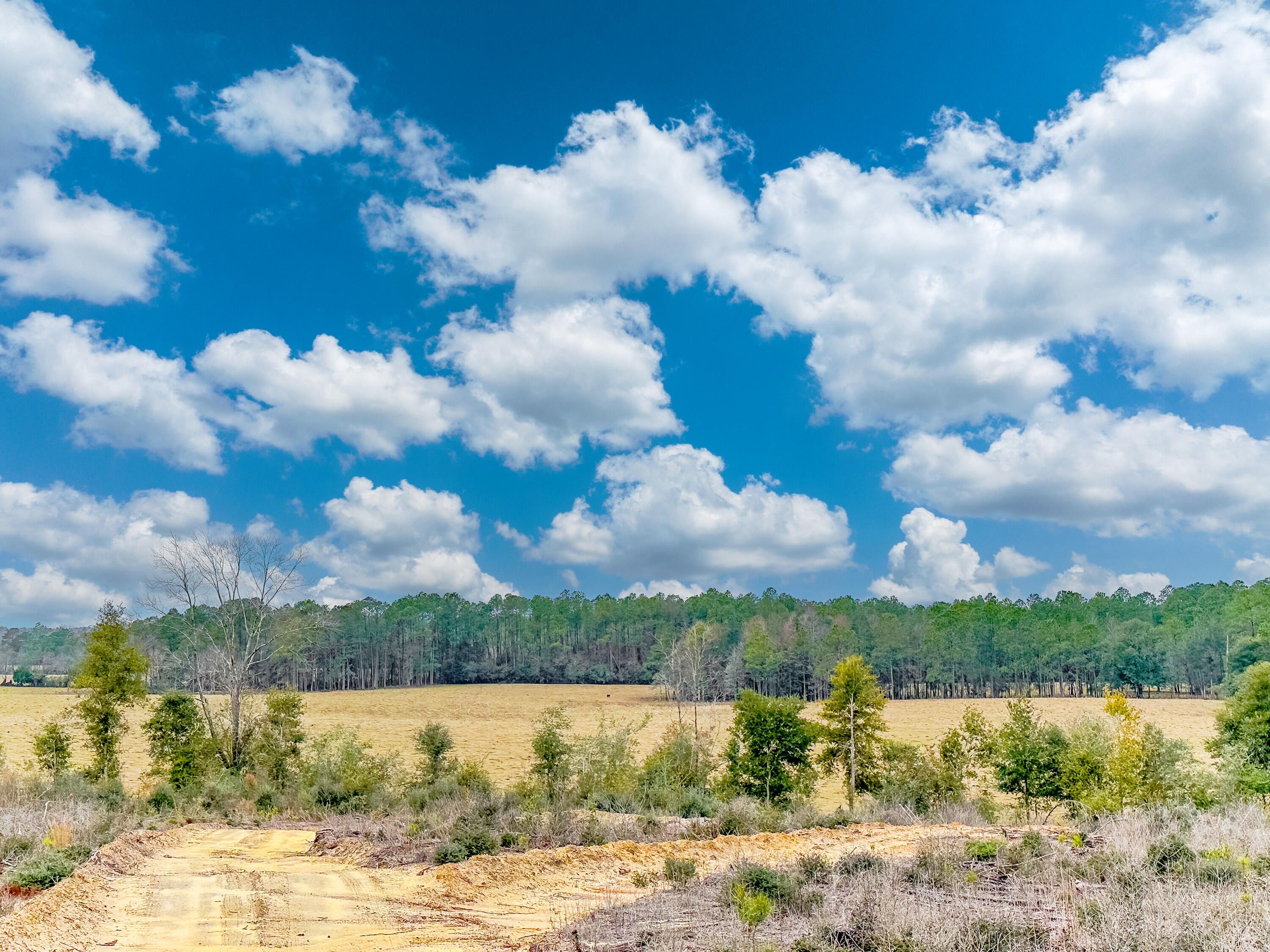 Caryville, Washington County, FL Undeveloped Land for sale Property ID 418735100 LandWatch