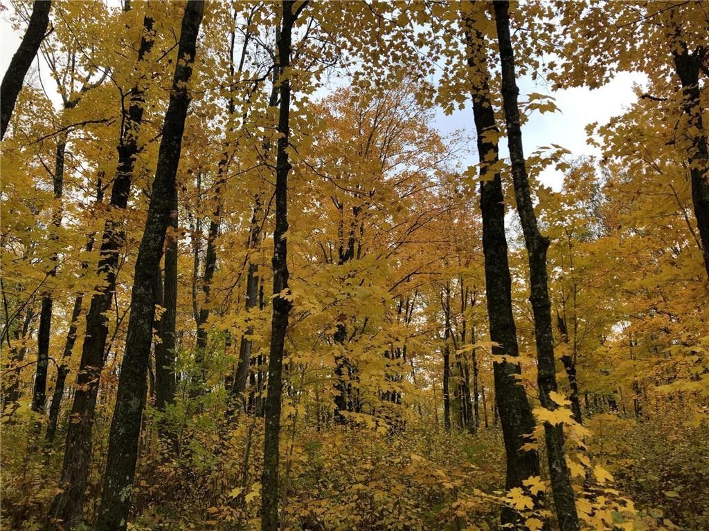 Kettle River, Carlton County, MN Undeveloped Land for sale Property ID