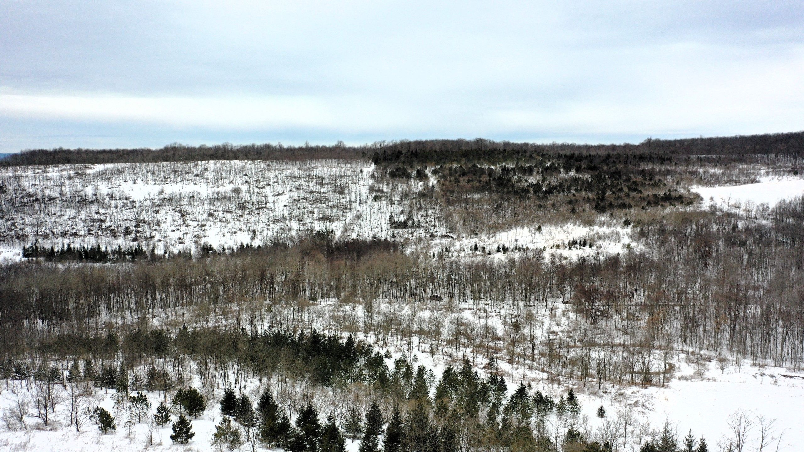Stoystown, Somerset County, PA Recreational Property, Timberland