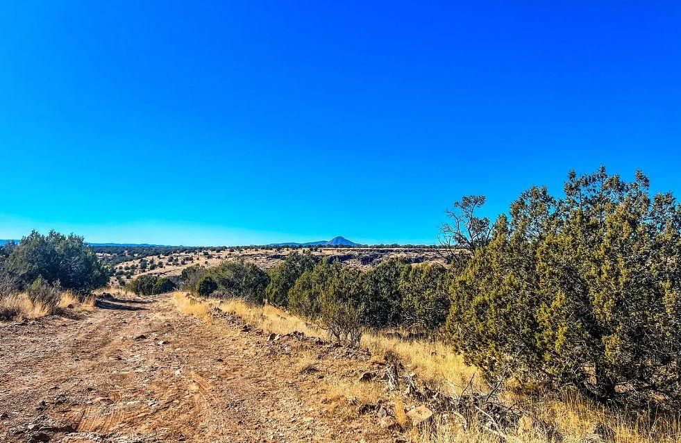 Williams, Coconino County, AZ Recreational Property, Undeveloped Land