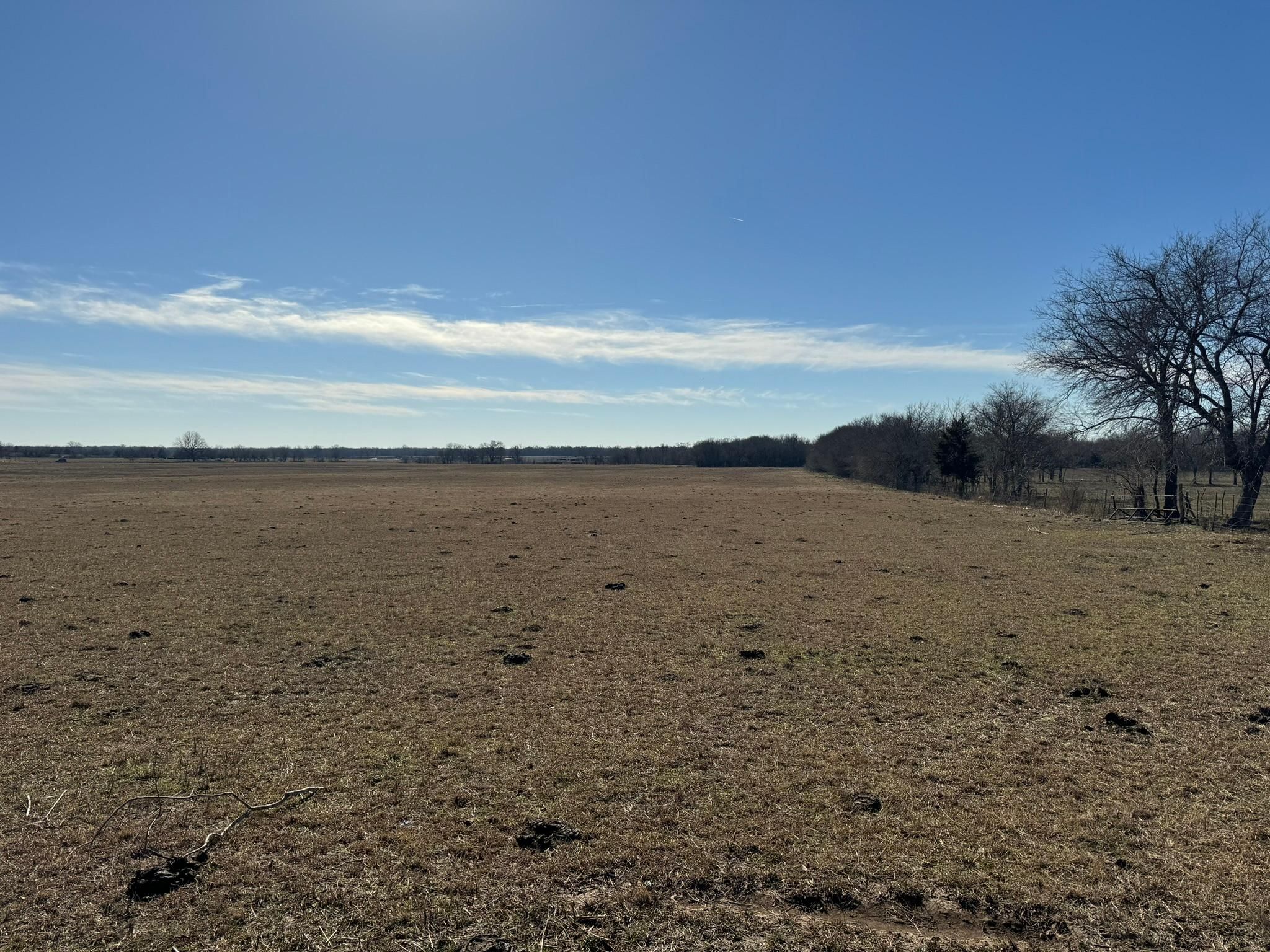 16 acres in Wolfe City, TX, 75496 LandWatch