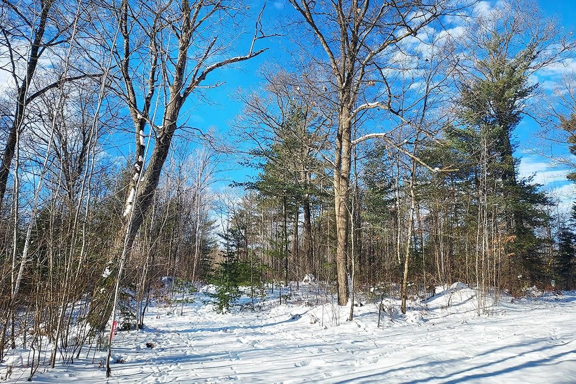 Lot 3 Townline Lake Road, Rhinelander, WI 54501 MLS 11238343 LandWatch