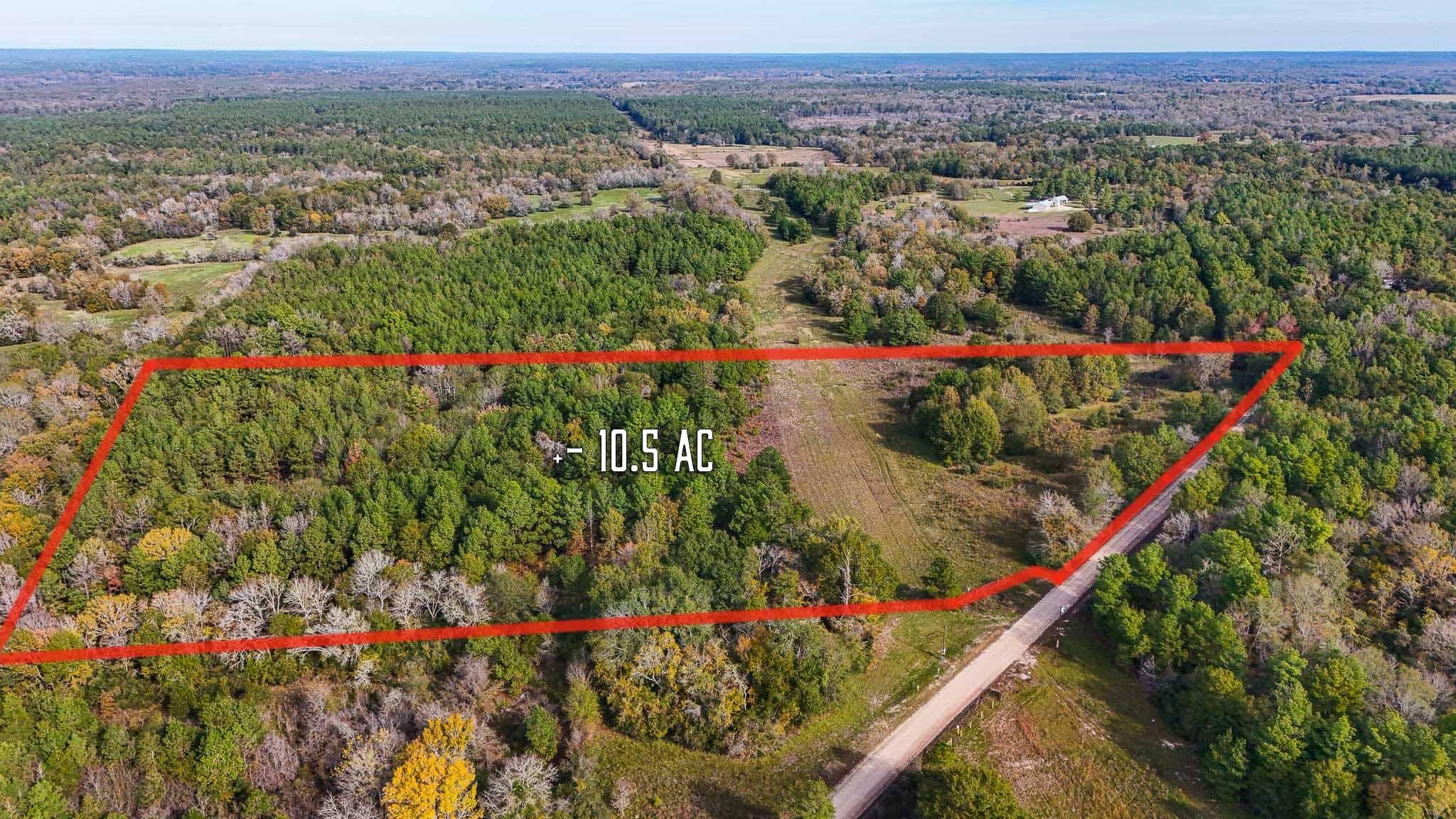 Fodice Road, Lovelady, TX 75851 LandWatch