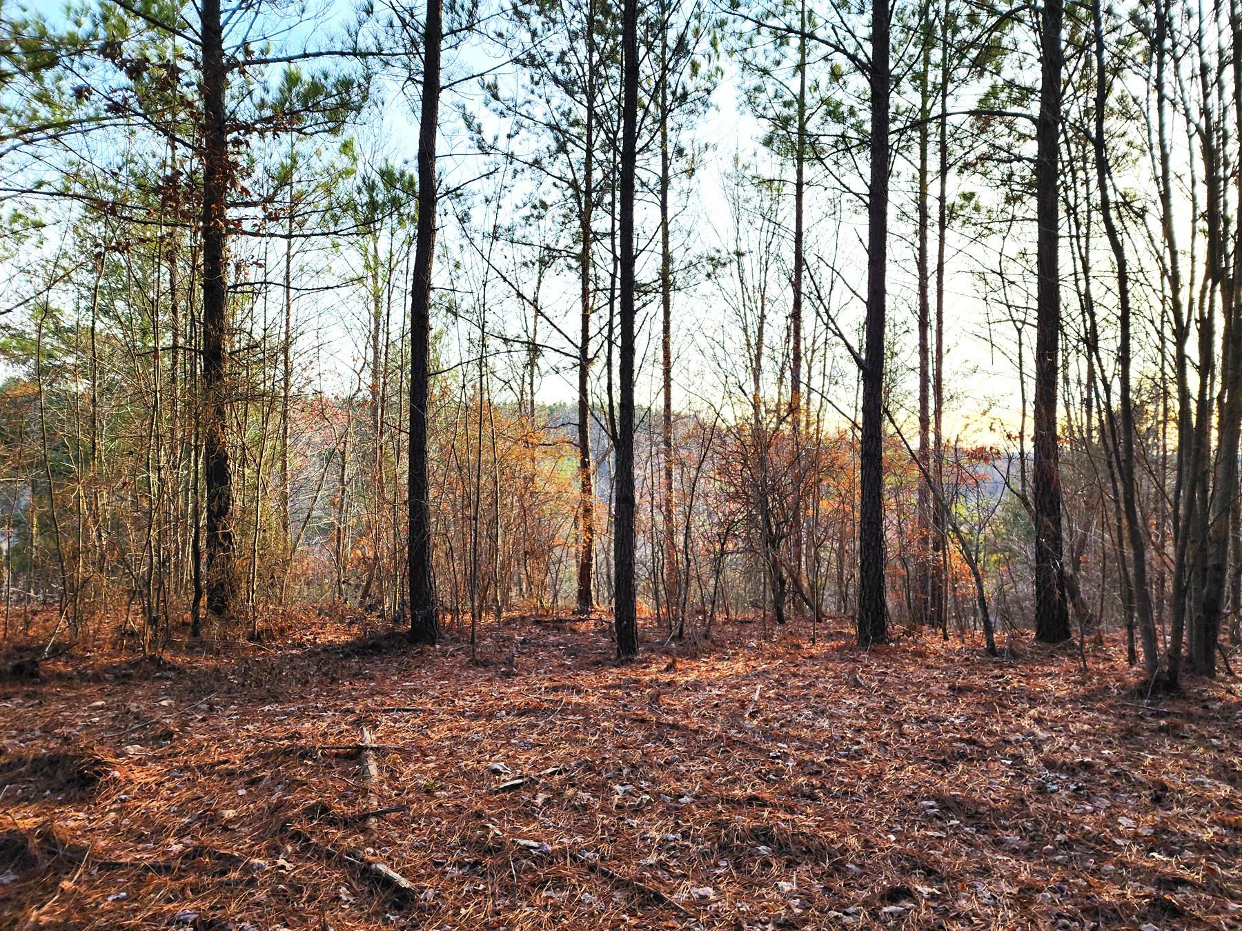 W Robbins Rd, Robbins, TN 37852 LandWatch