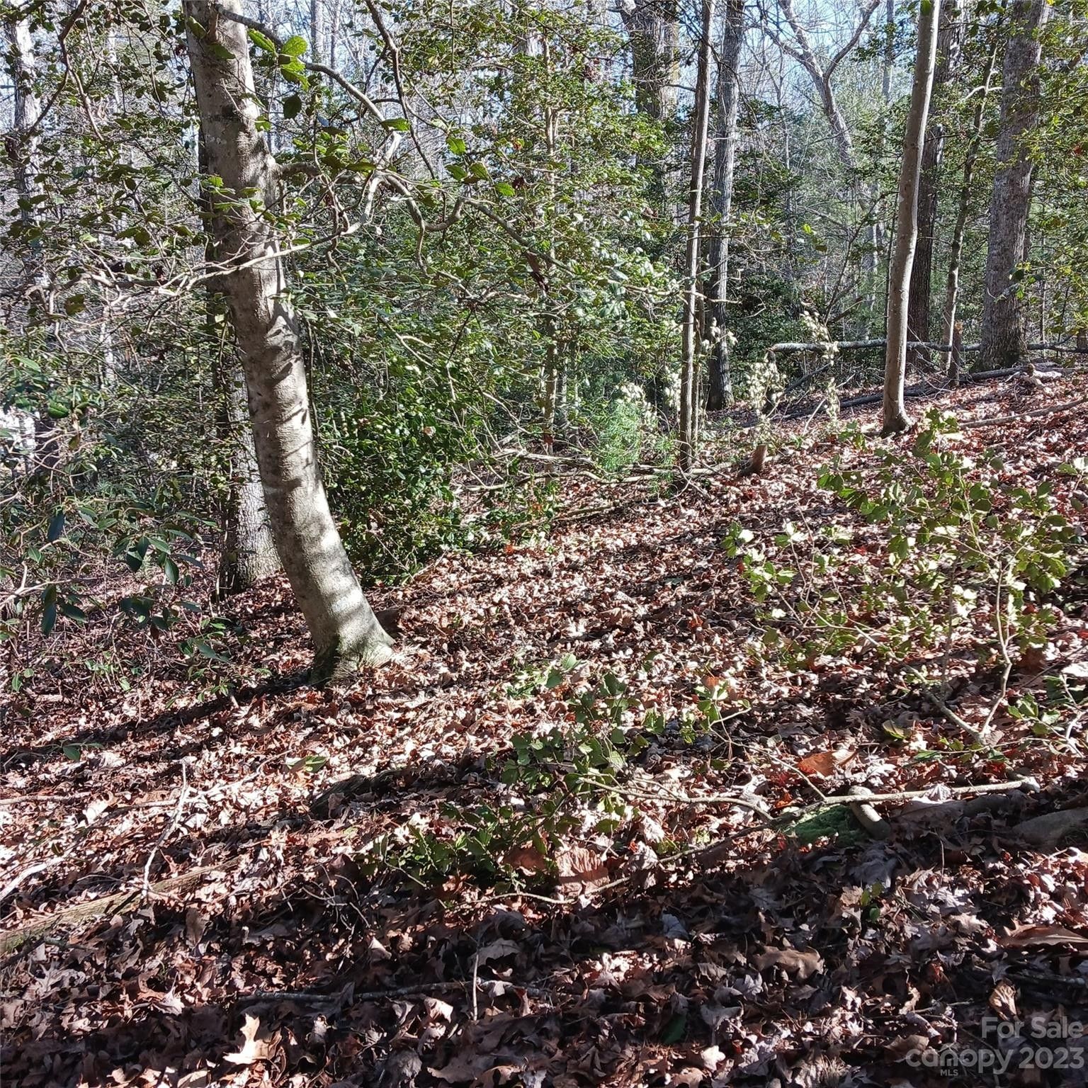 Valdese, Burke County, NC Undeveloped Land, Homesites for sale Property ID 418740635 LandWatch