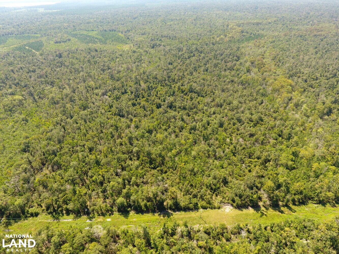 Reeves, Allen Parish, LA Recreational Property, Timberland Property